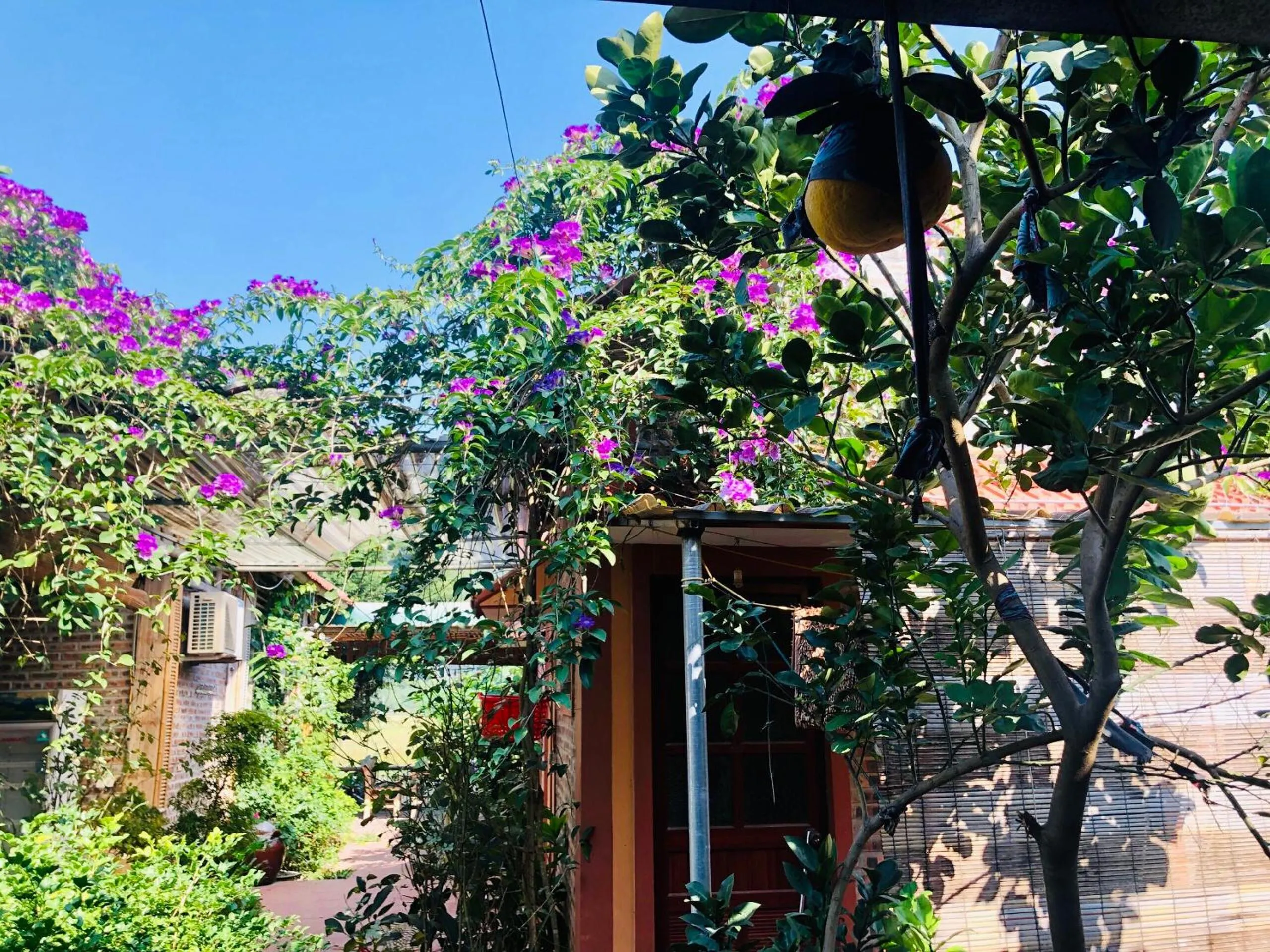 Tam Coc Mountain View Homestay