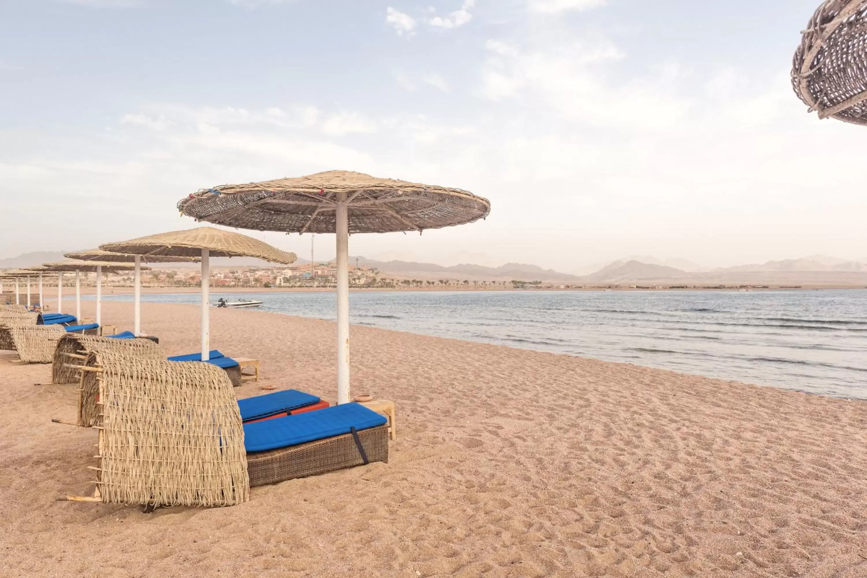 Beach in Barceló Tiran Sharm