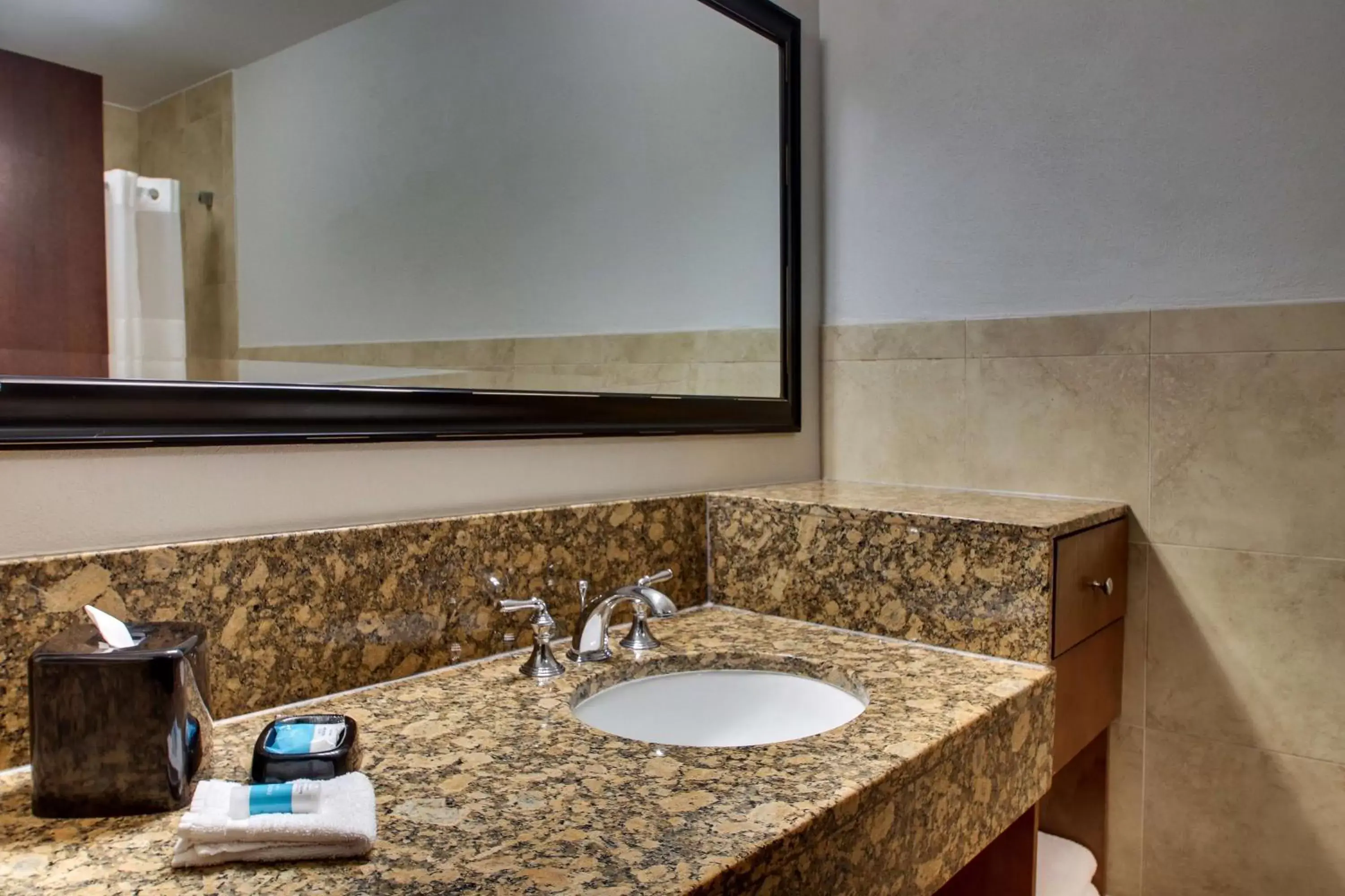 Bathroom in Drury Plaza Hotel San Antonio Riverwalk