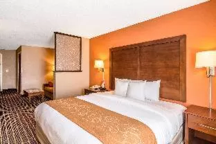 Accessible Suite with Two Queen Beds and Roll In Shower Non Smoking in Comfort Suites