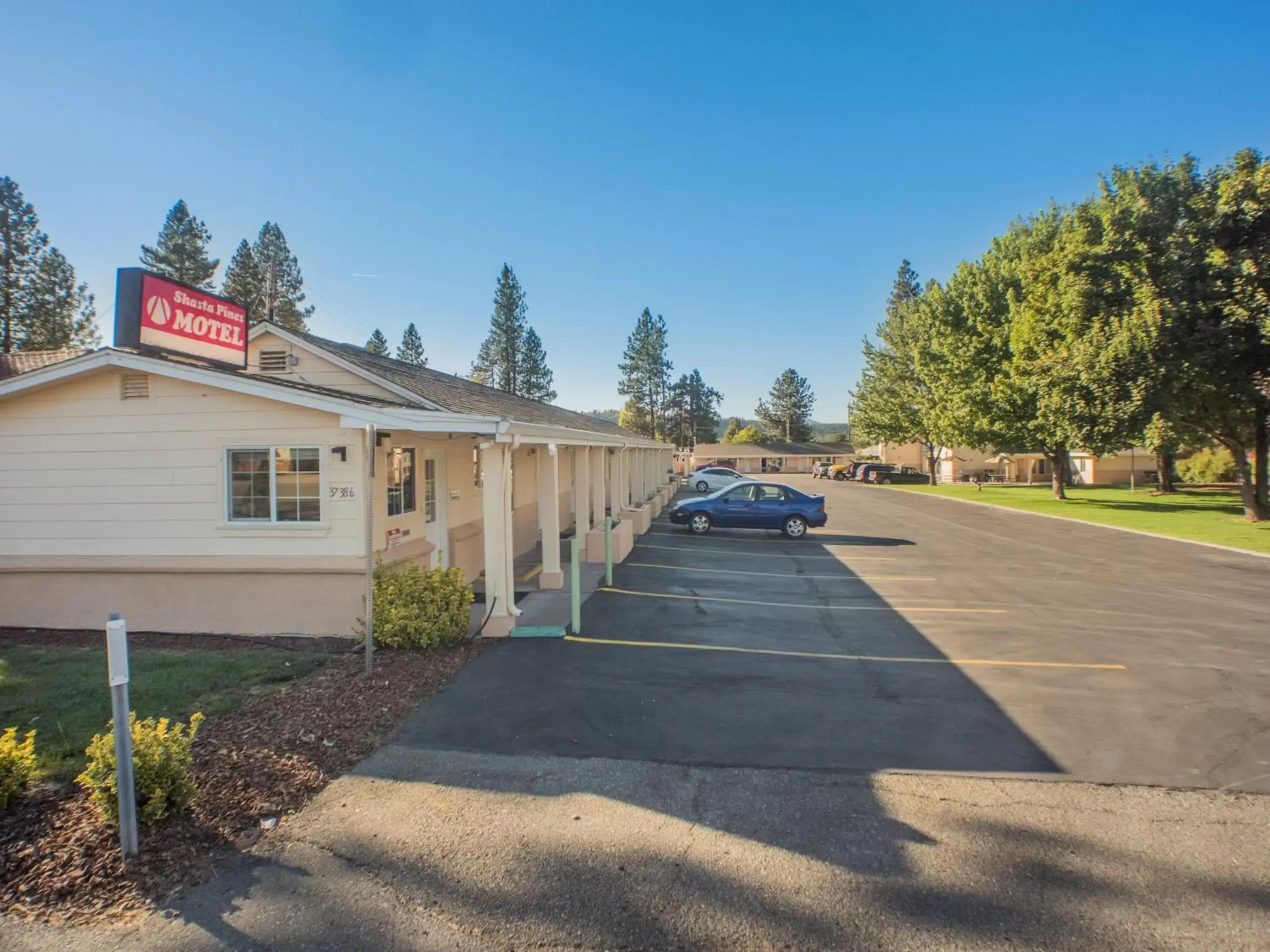 Property Building in Shasta Pines Motel & Suites