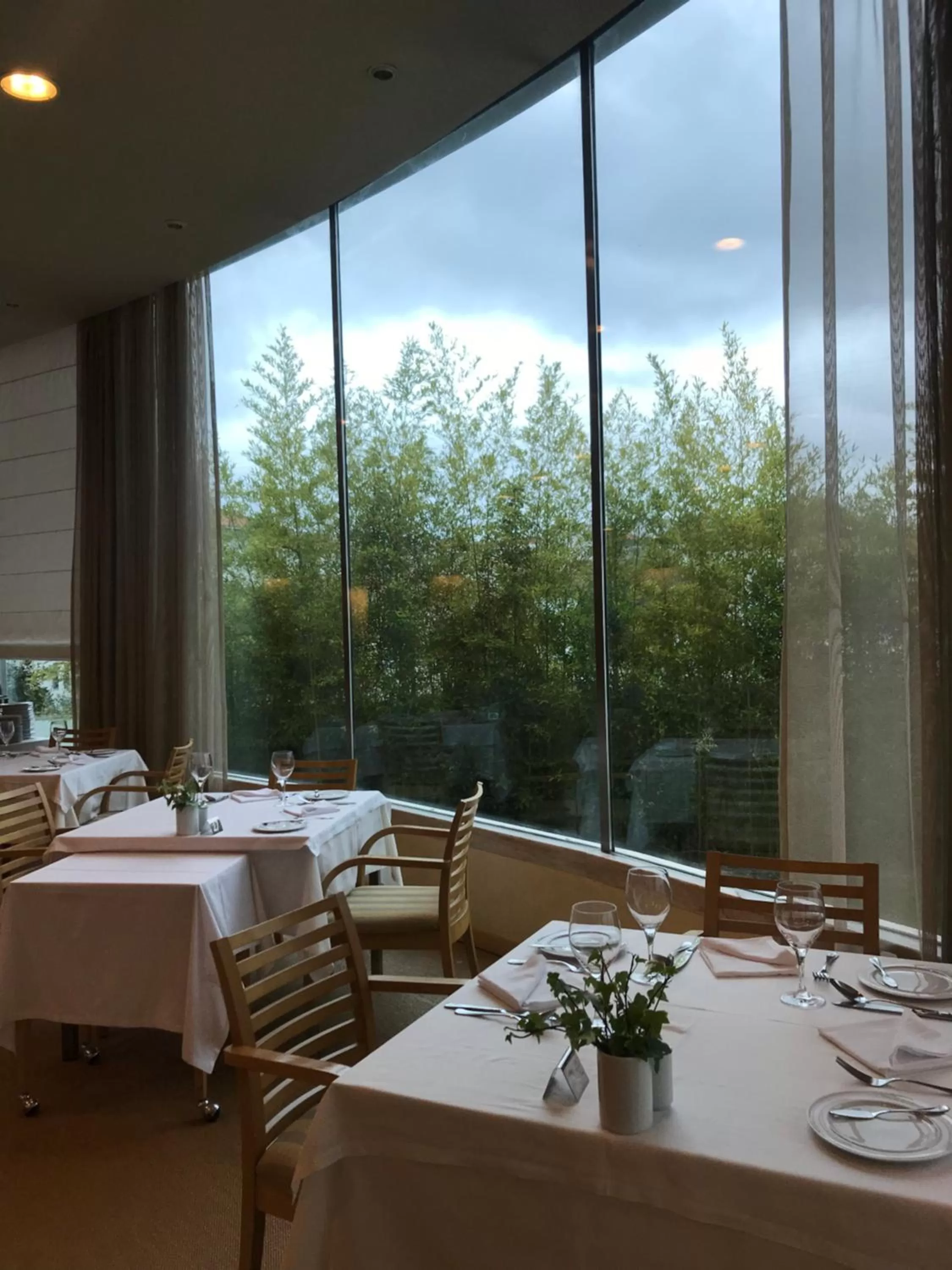 Restaurant/places to eat in Hotel Santa Maria