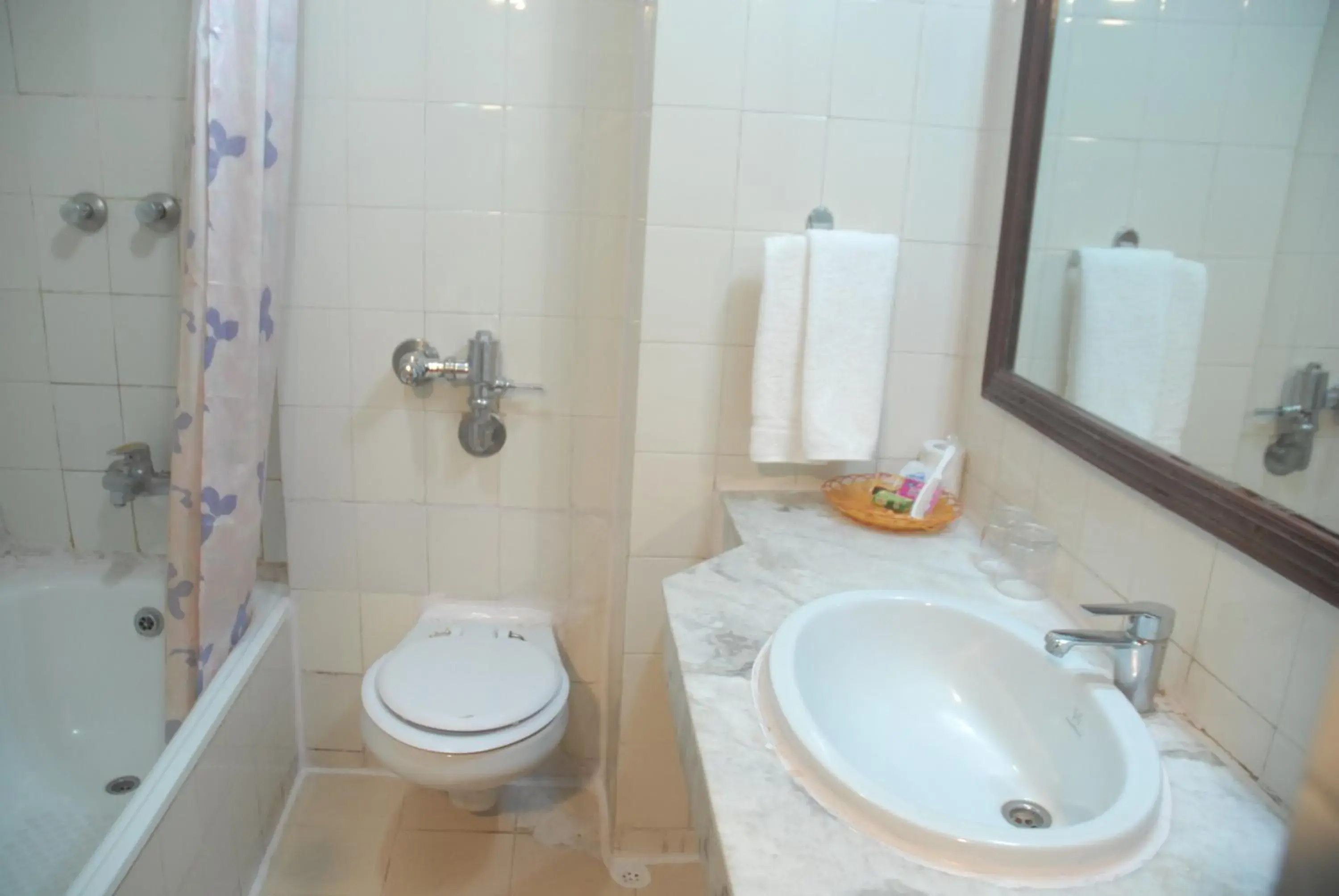 Bathroom in Hotel Vaishali