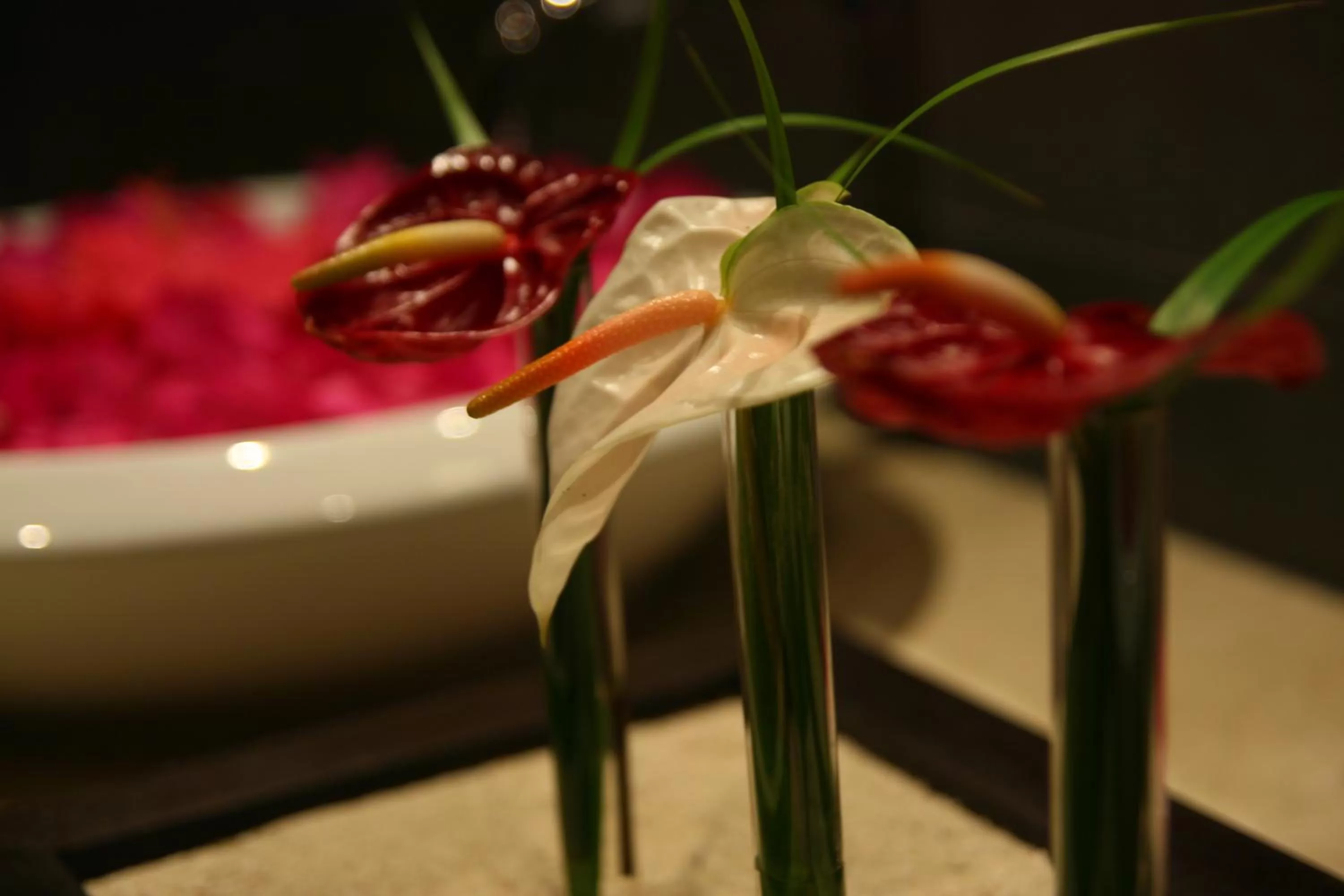 Other in Ocean Villas Hotel