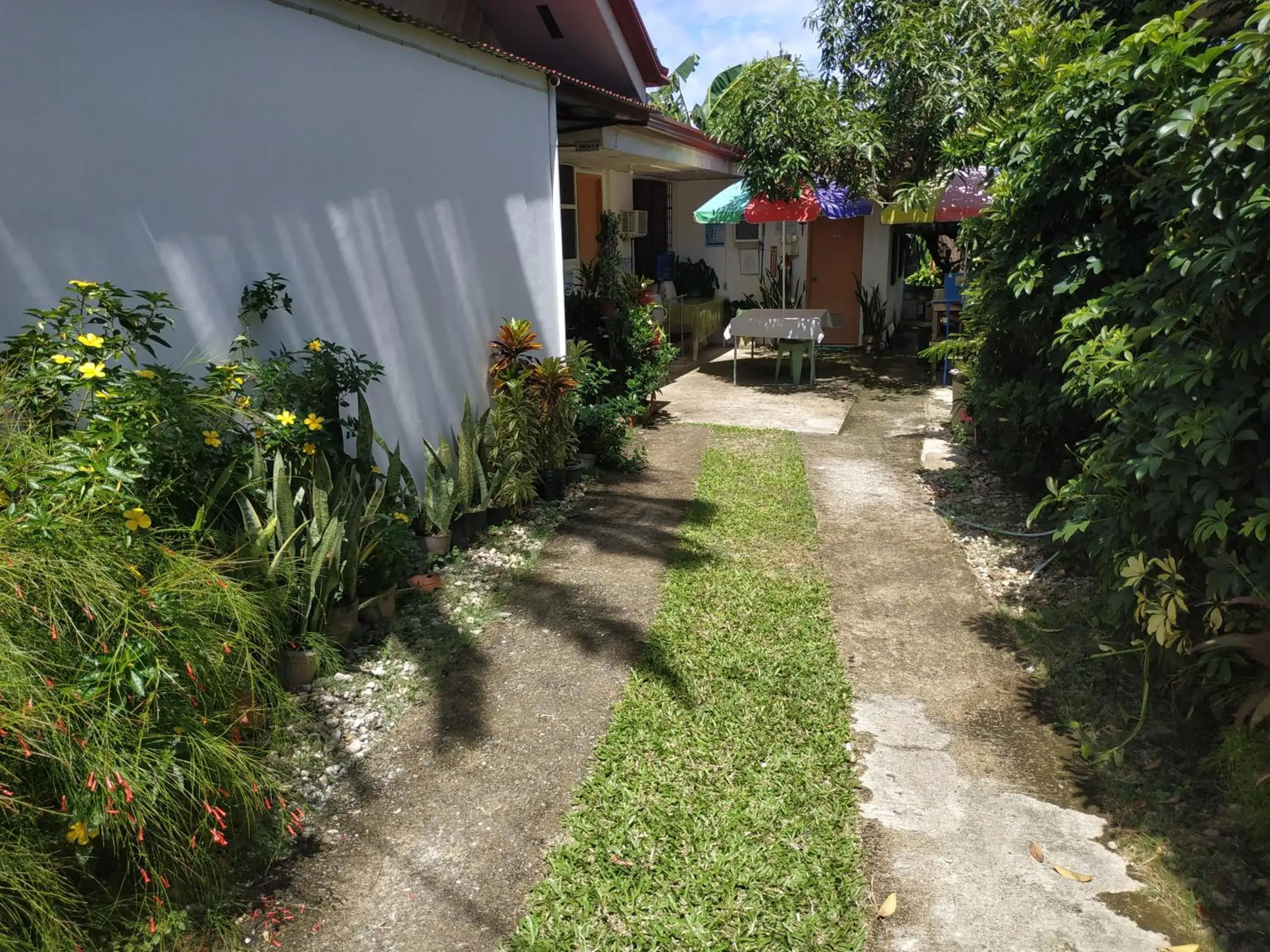 Property Building in Emok's Guest House