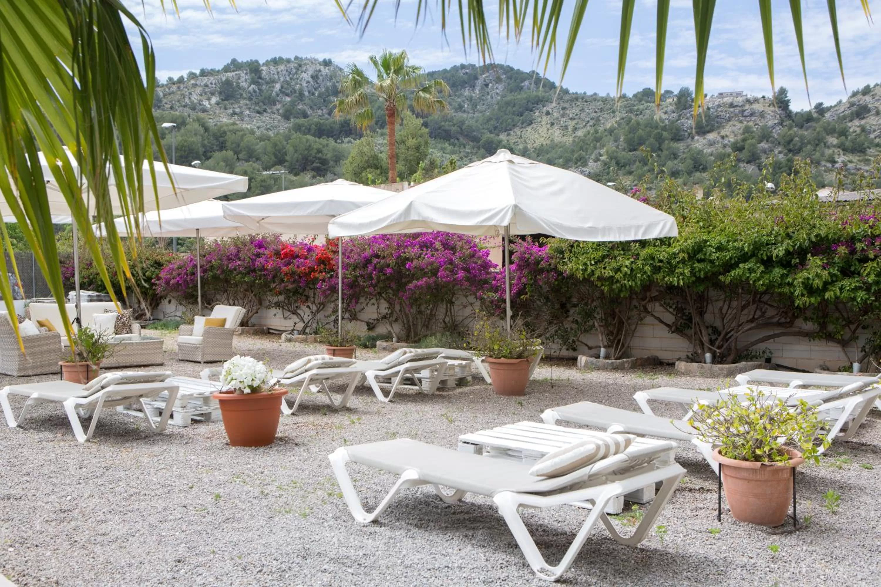 Patio in Hotel Marina