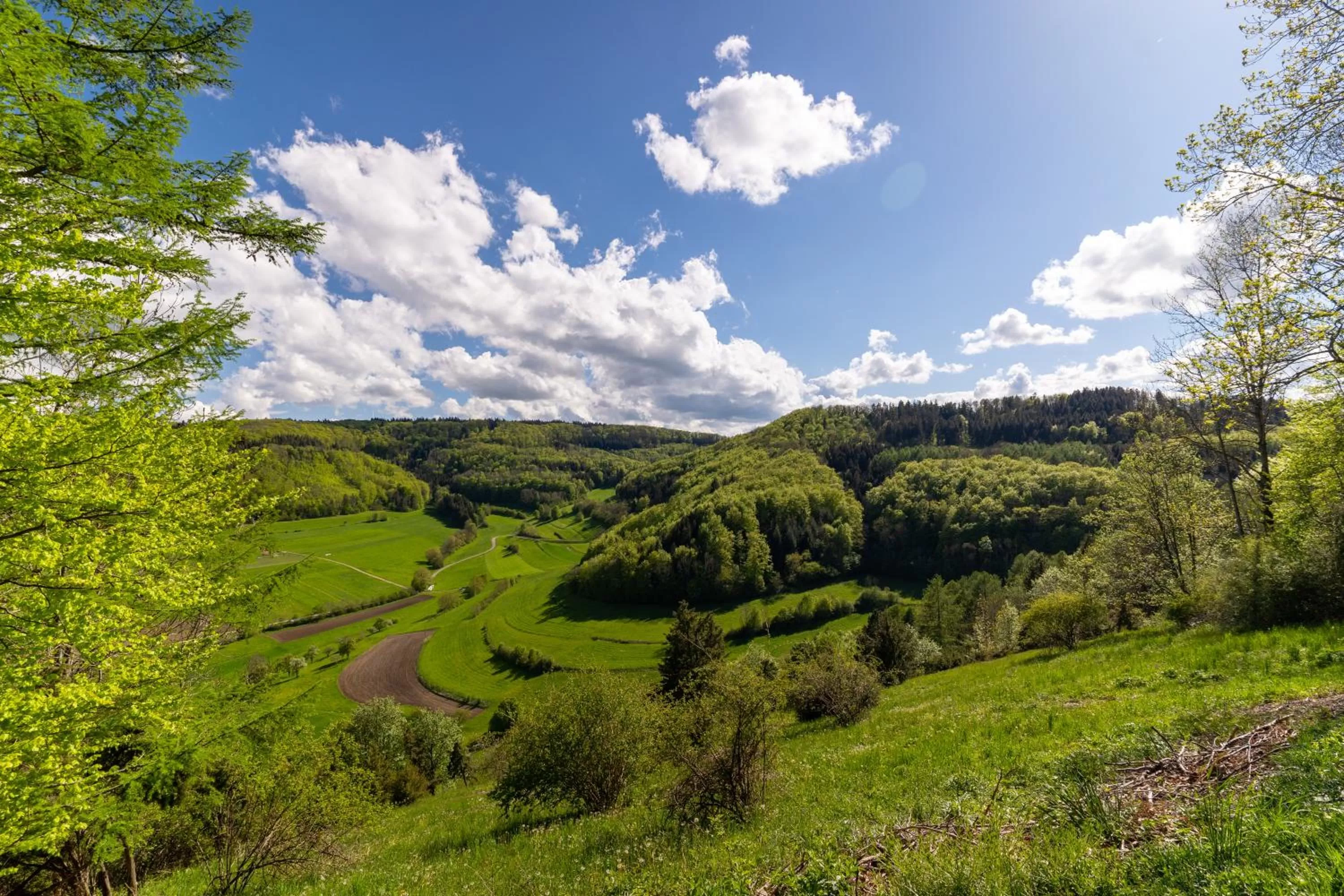 Hiking in Hotel Rosenstein
