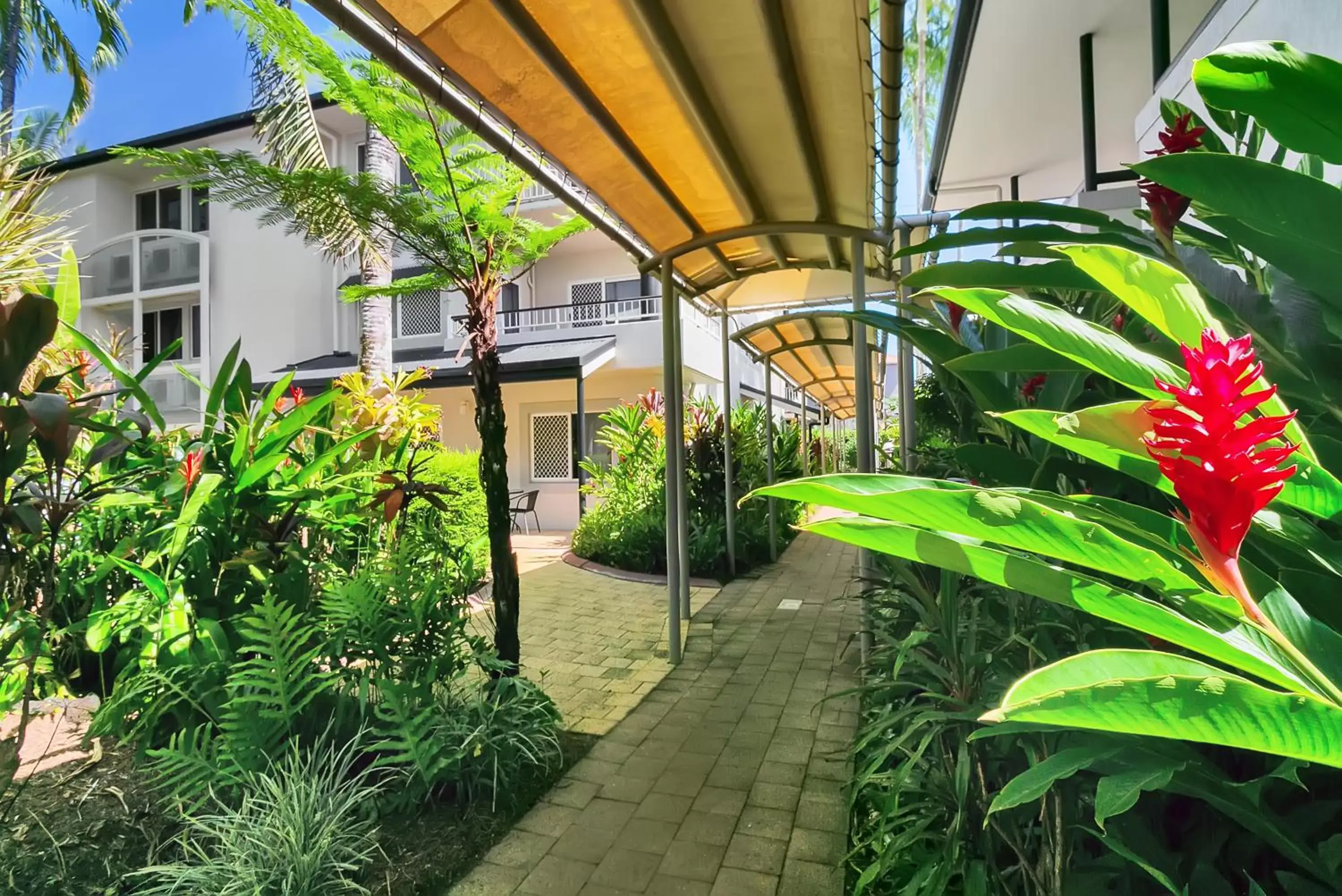 Garden in Cairns Reef Apartments & Motel
