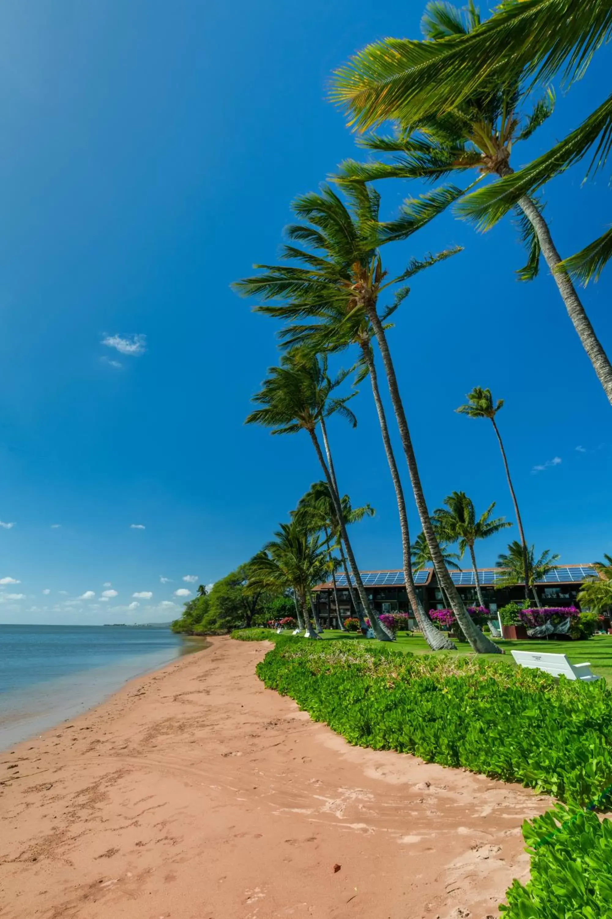 Beach, Natural Landscape in Castle Molokai Shores