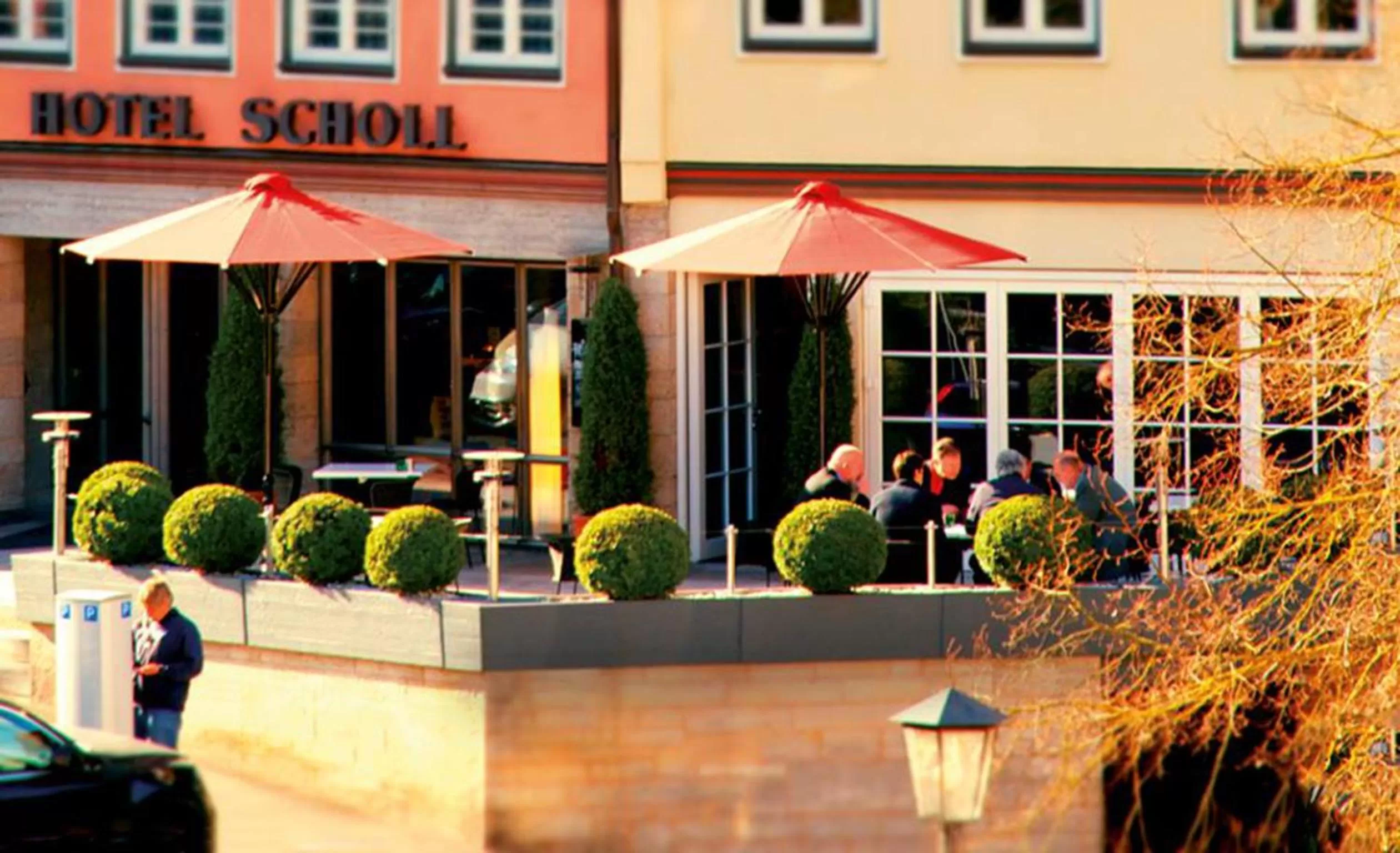 Patio in Hotel Scholl
