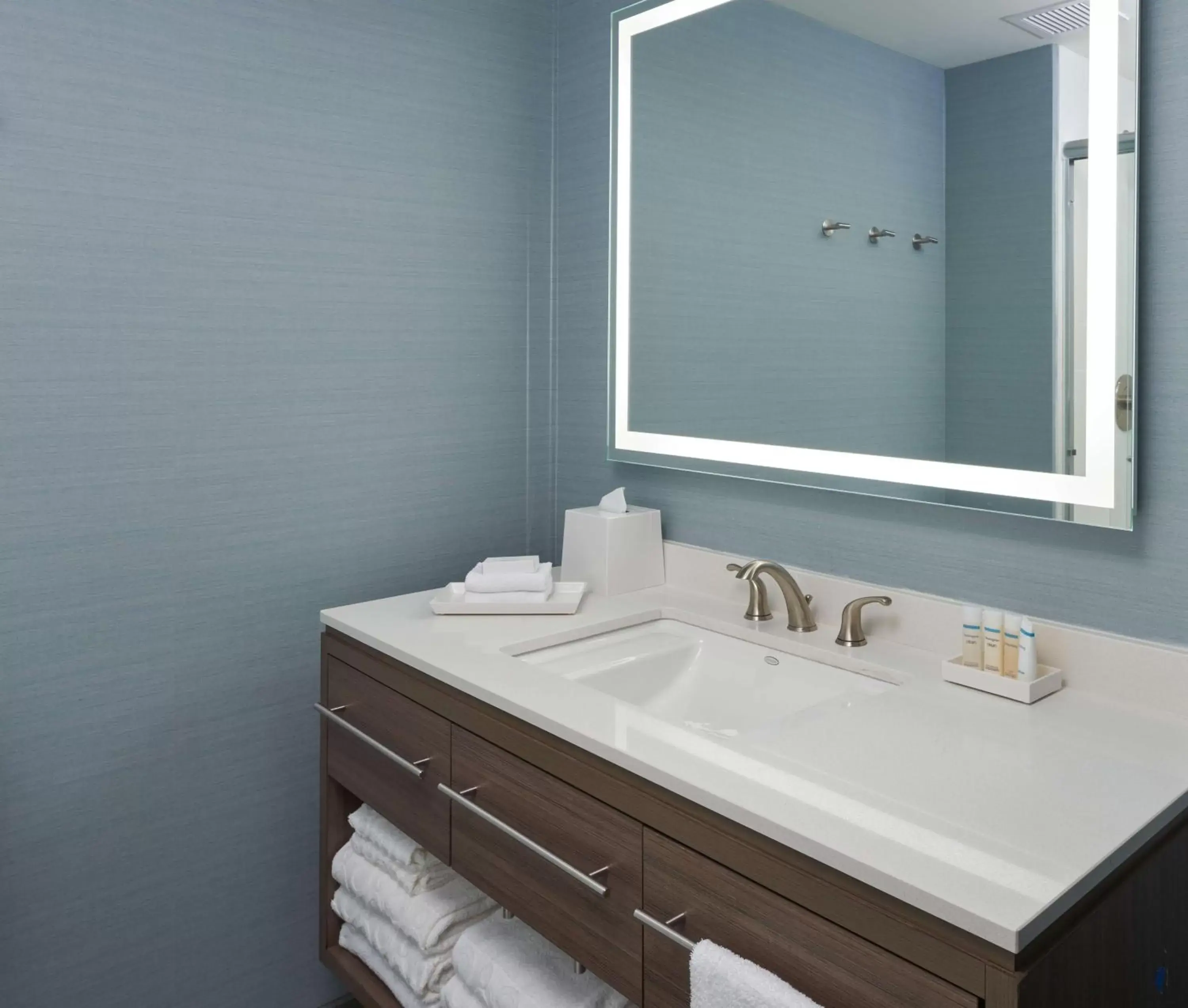 Bathroom in Home2 Suites By Hilton Pompano Beach Pier, Fl