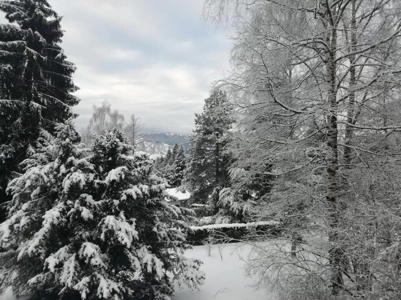 Winter in La bicocca