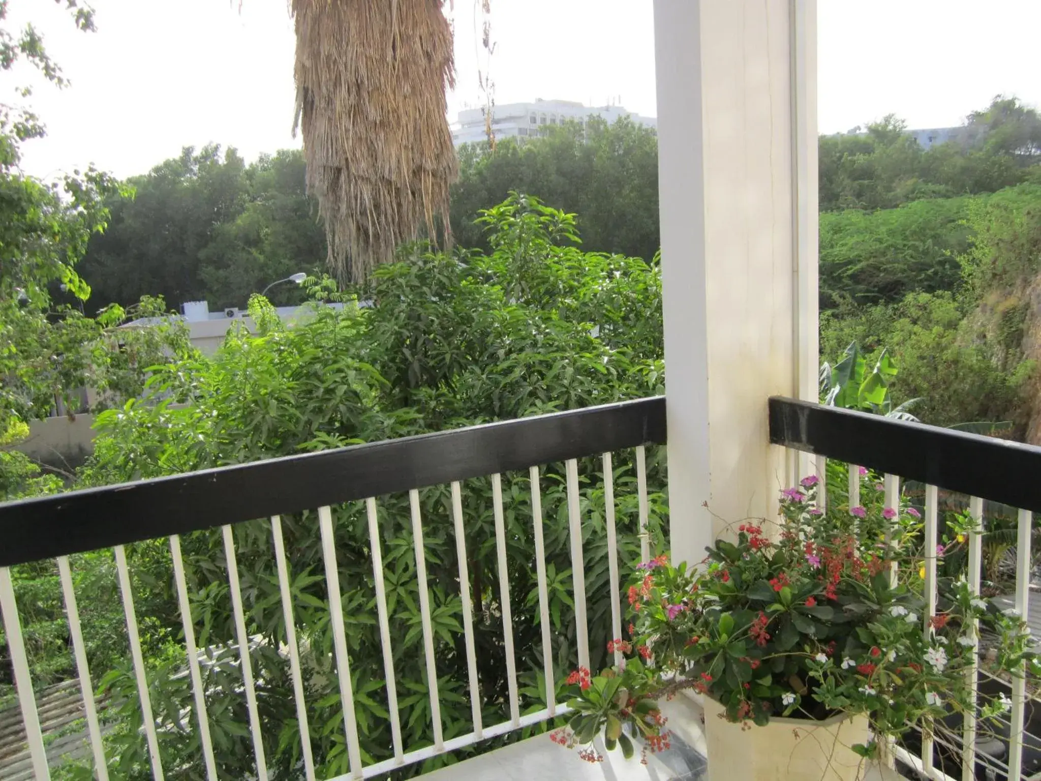 Sea view, Balcony/Terrace in Qurum Beach Hotel
