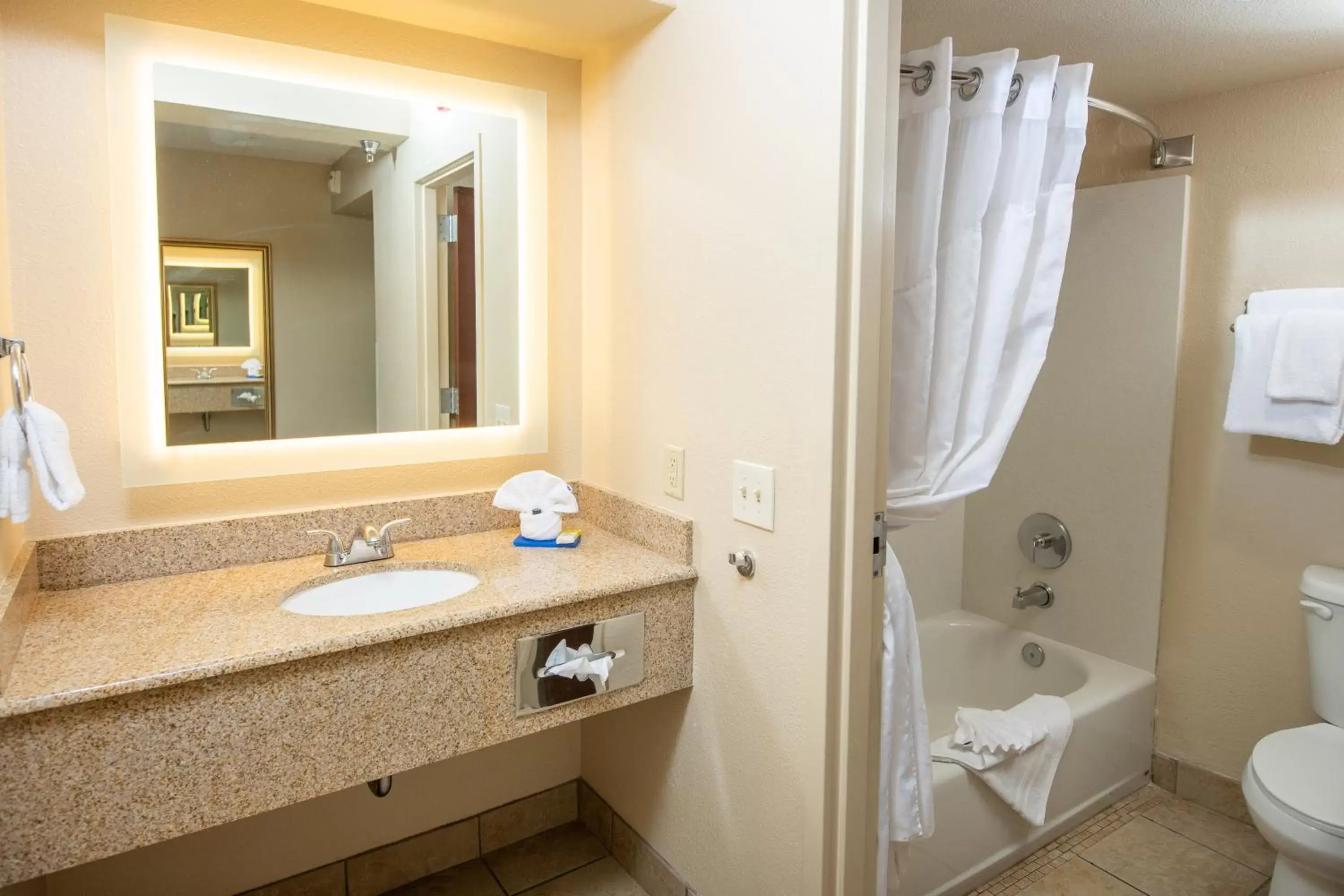 Bathroom in Holiday Inn Express Grand Canyon, an IHG Hotel
