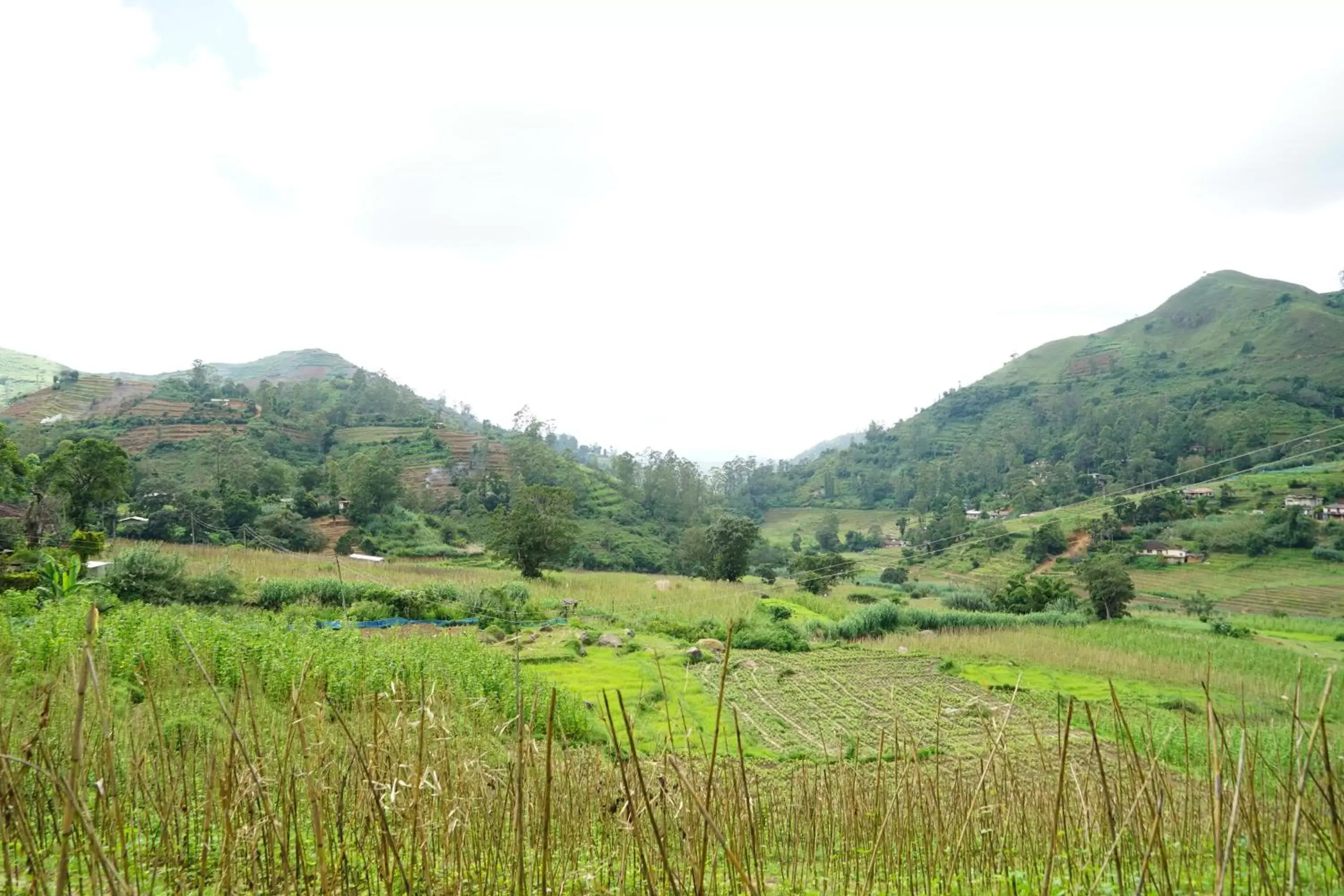 Natural Landscape in The Grand Hotel - Heritage Grand