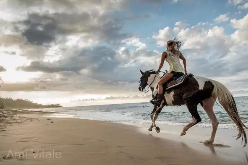 Horse-riding, Horseback Riding in Villa Montaña Beach Resort