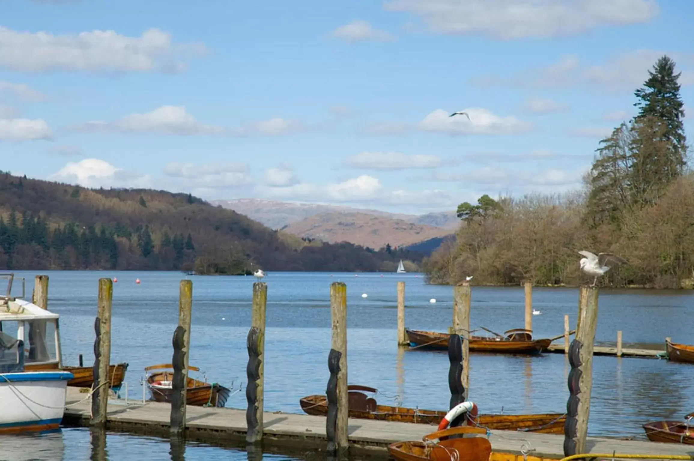 Natural landscape in Burn How Garden House Hotel