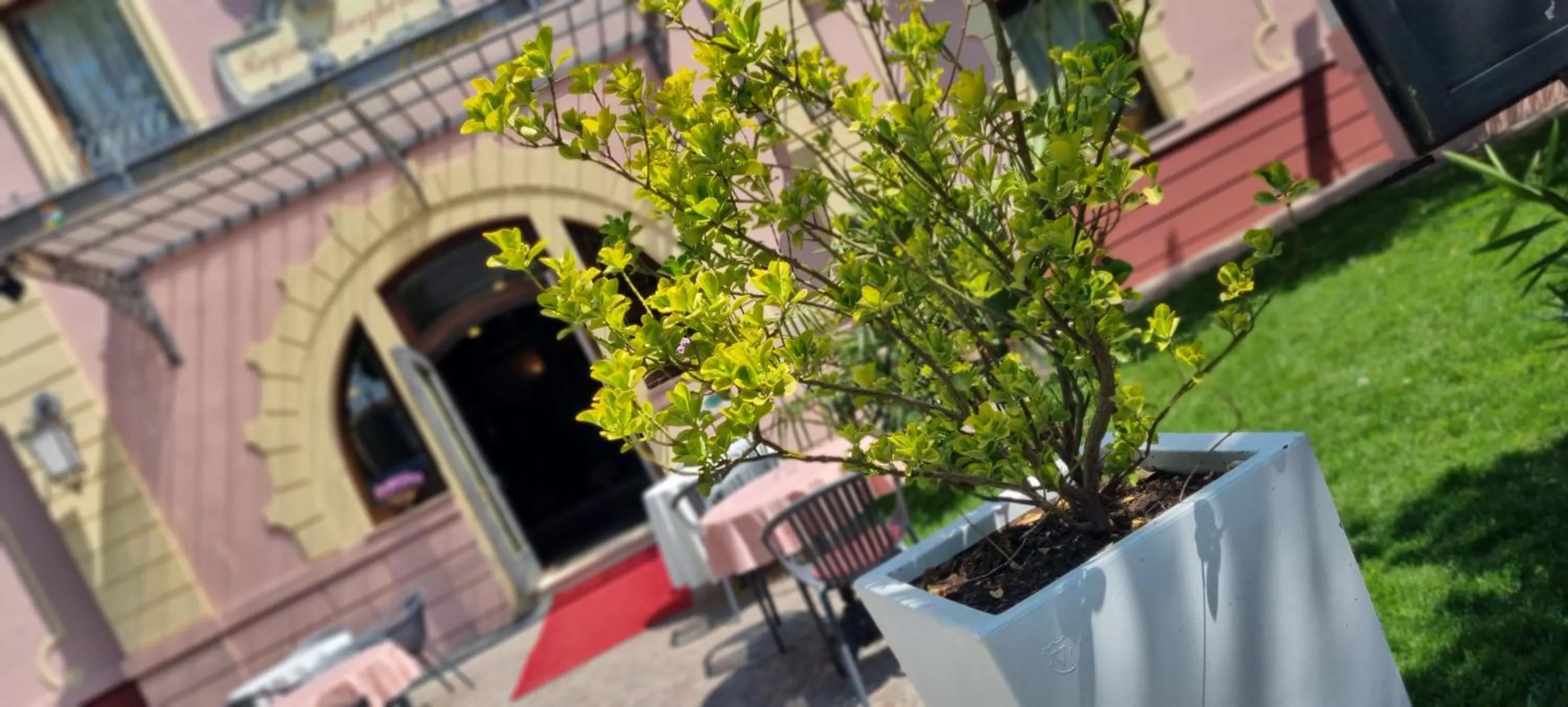 Villa Regina Margherita