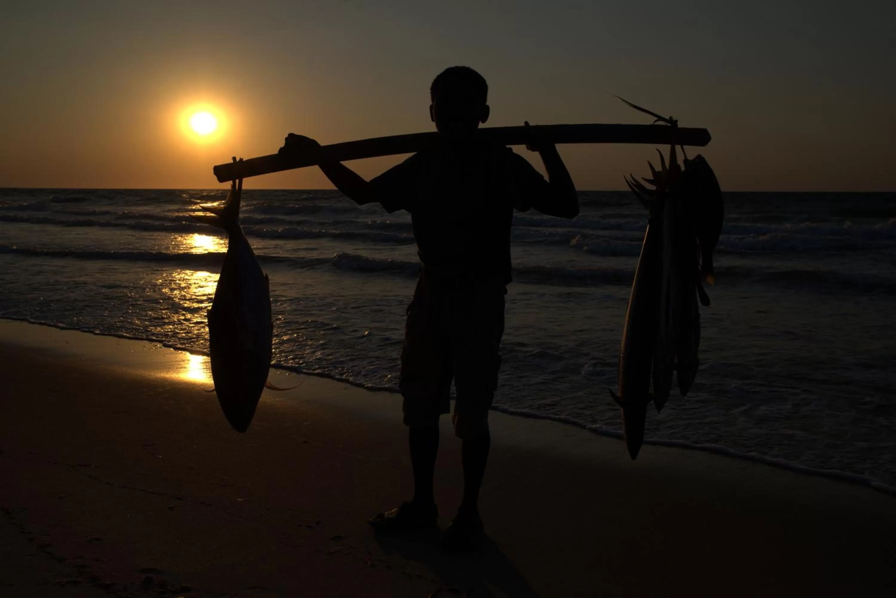 Fishing in Hôtel Restaurant Coco Lodge Majunga