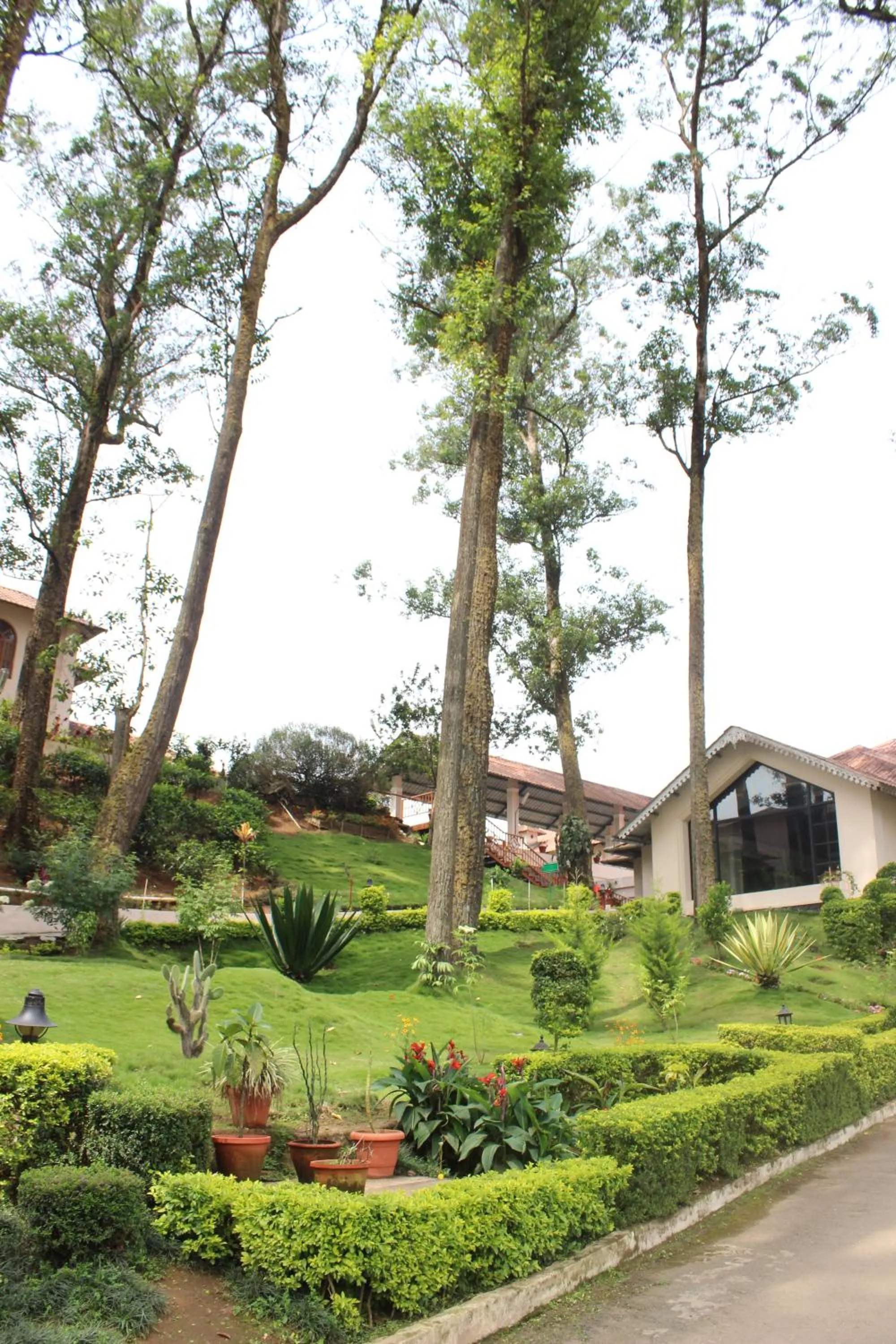 View (from property/room) in KTDC Tea county