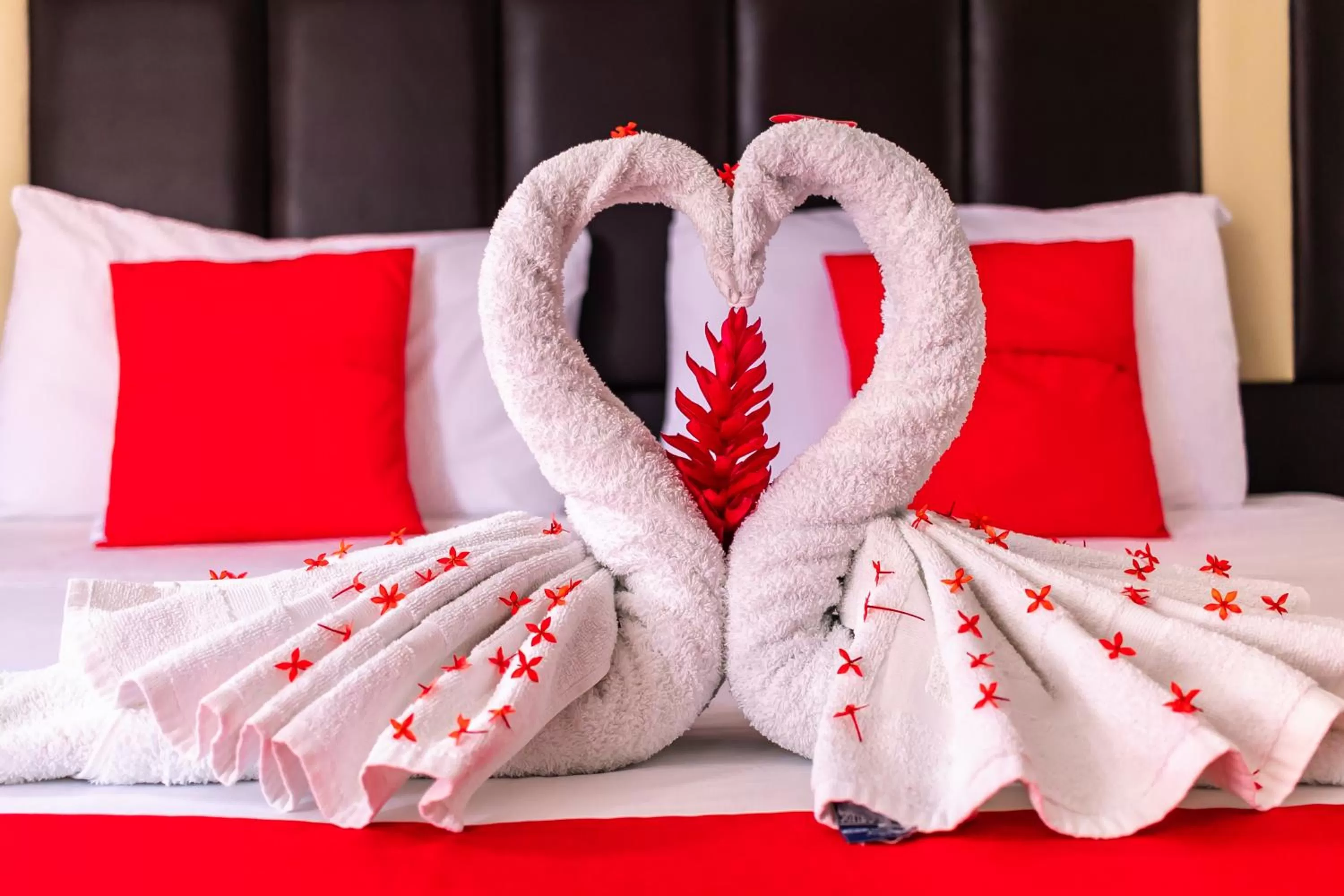 Queen Studio in Hotel Bello Caribe Express