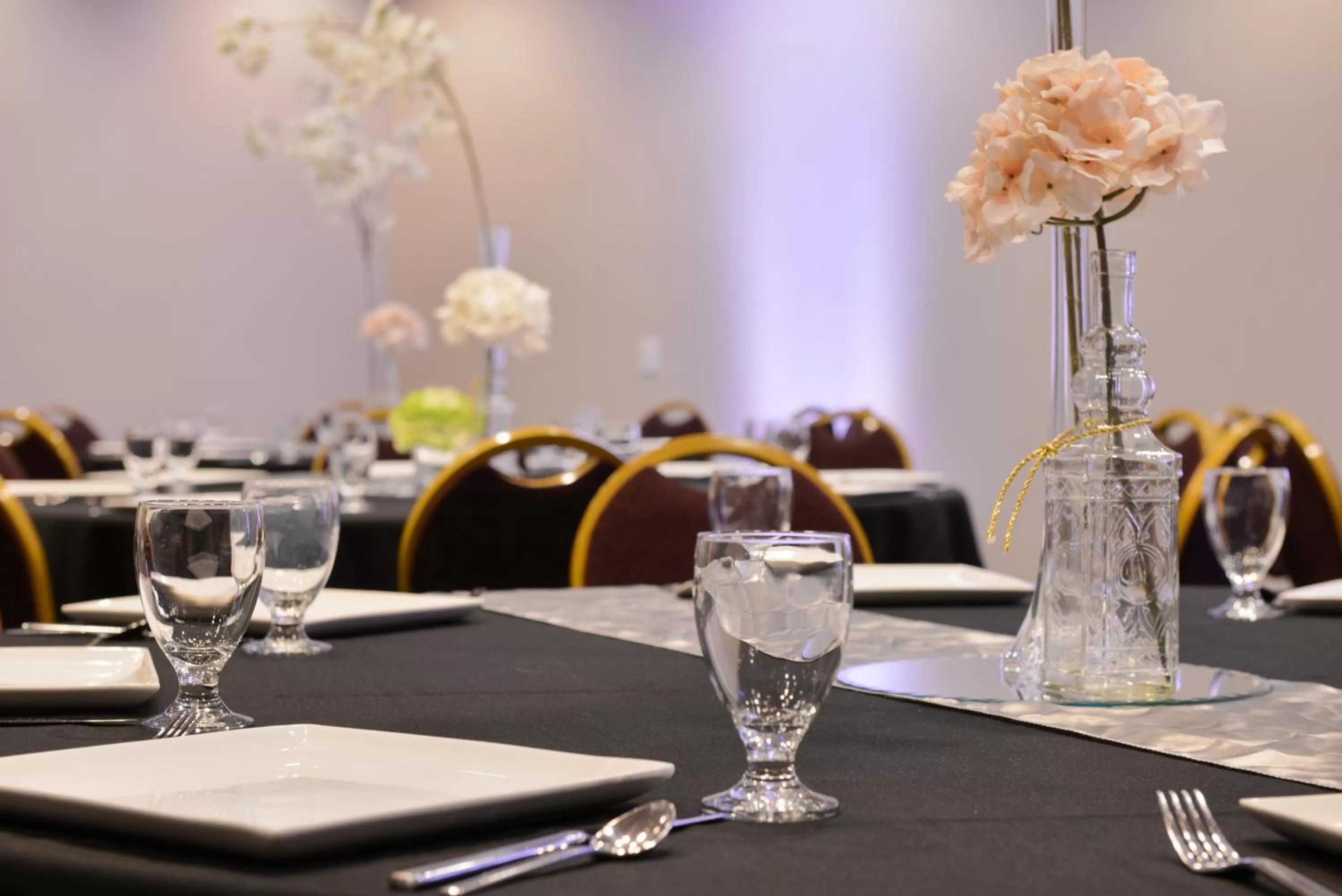 Banquet/Function facilities in Holiday Inn Kansas City Airport by IHG
