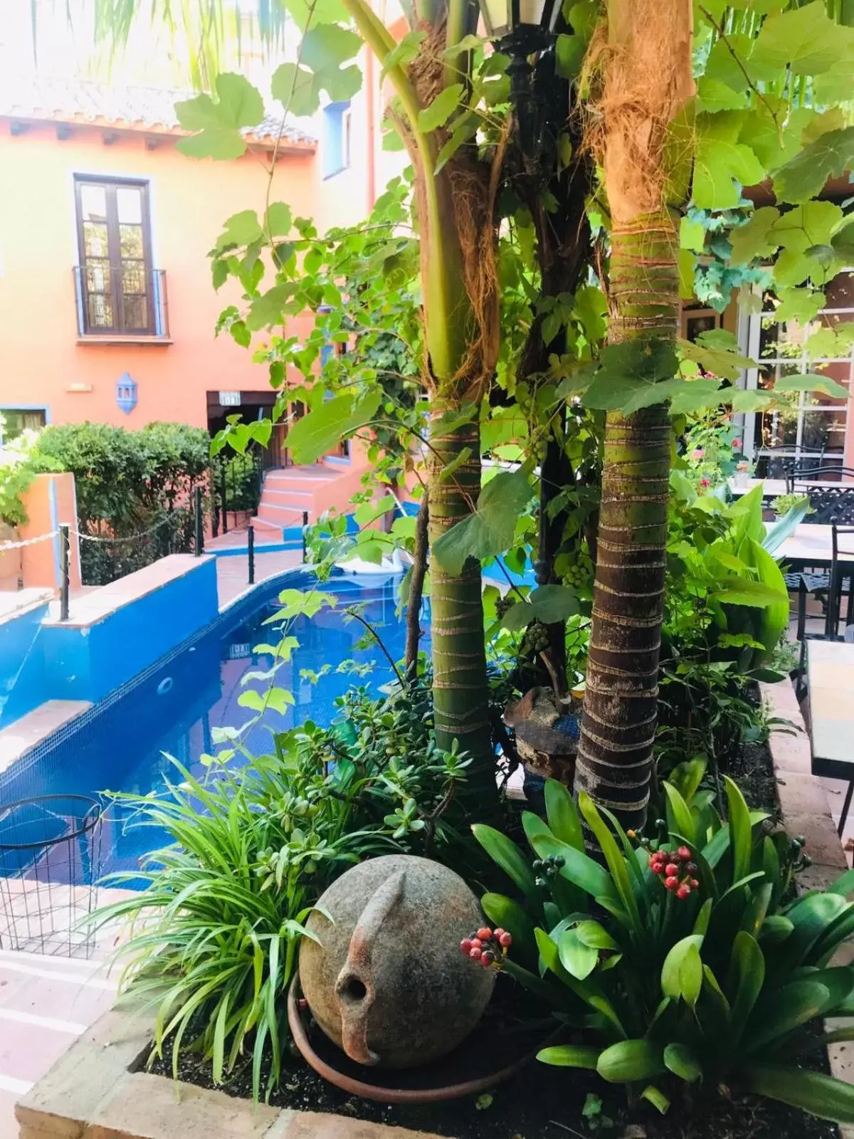 Pool View in Hotel Amanhavis