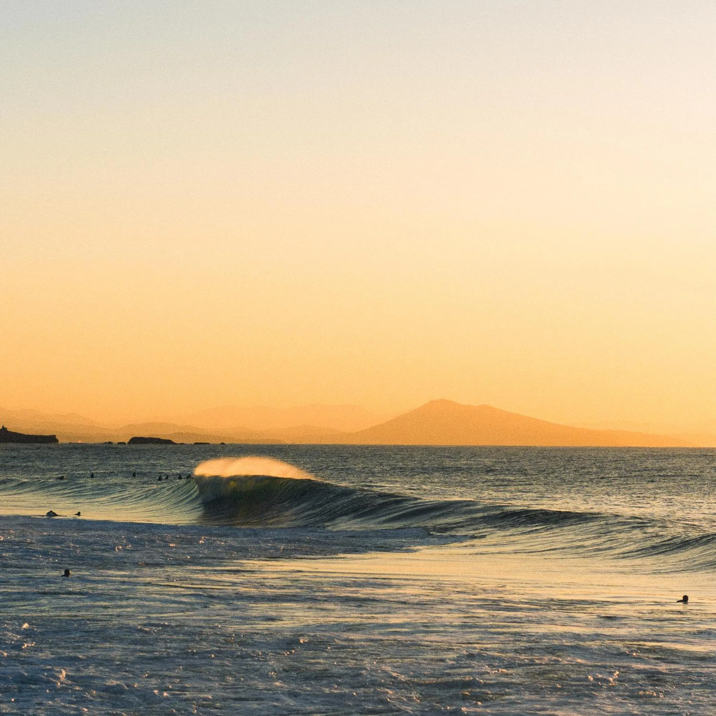Beach in Hôtel Florida