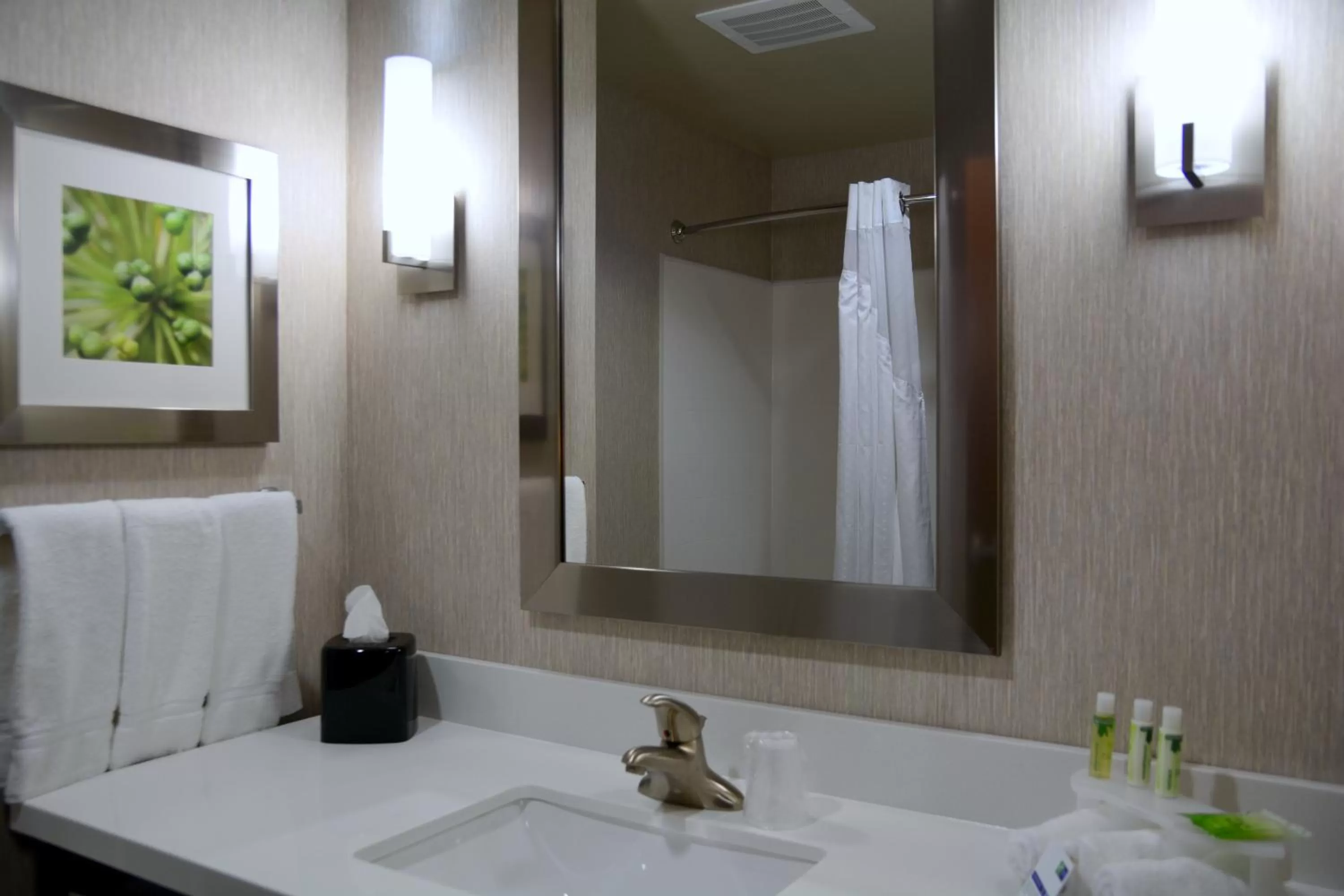 Bathroom in Holiday Inn Express Tomball by IHG