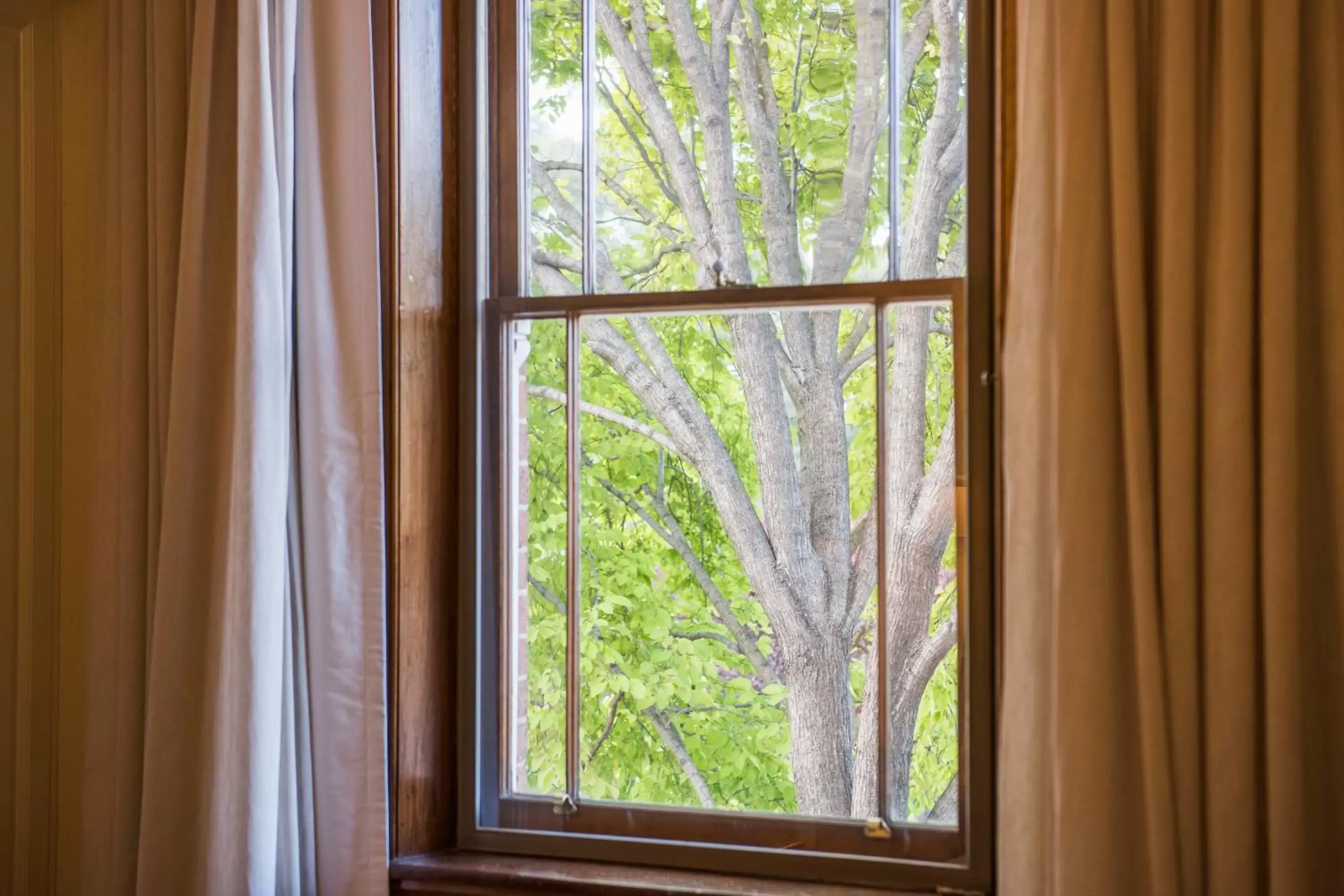 Decorative detail in The Parkview Hotel Mudgee