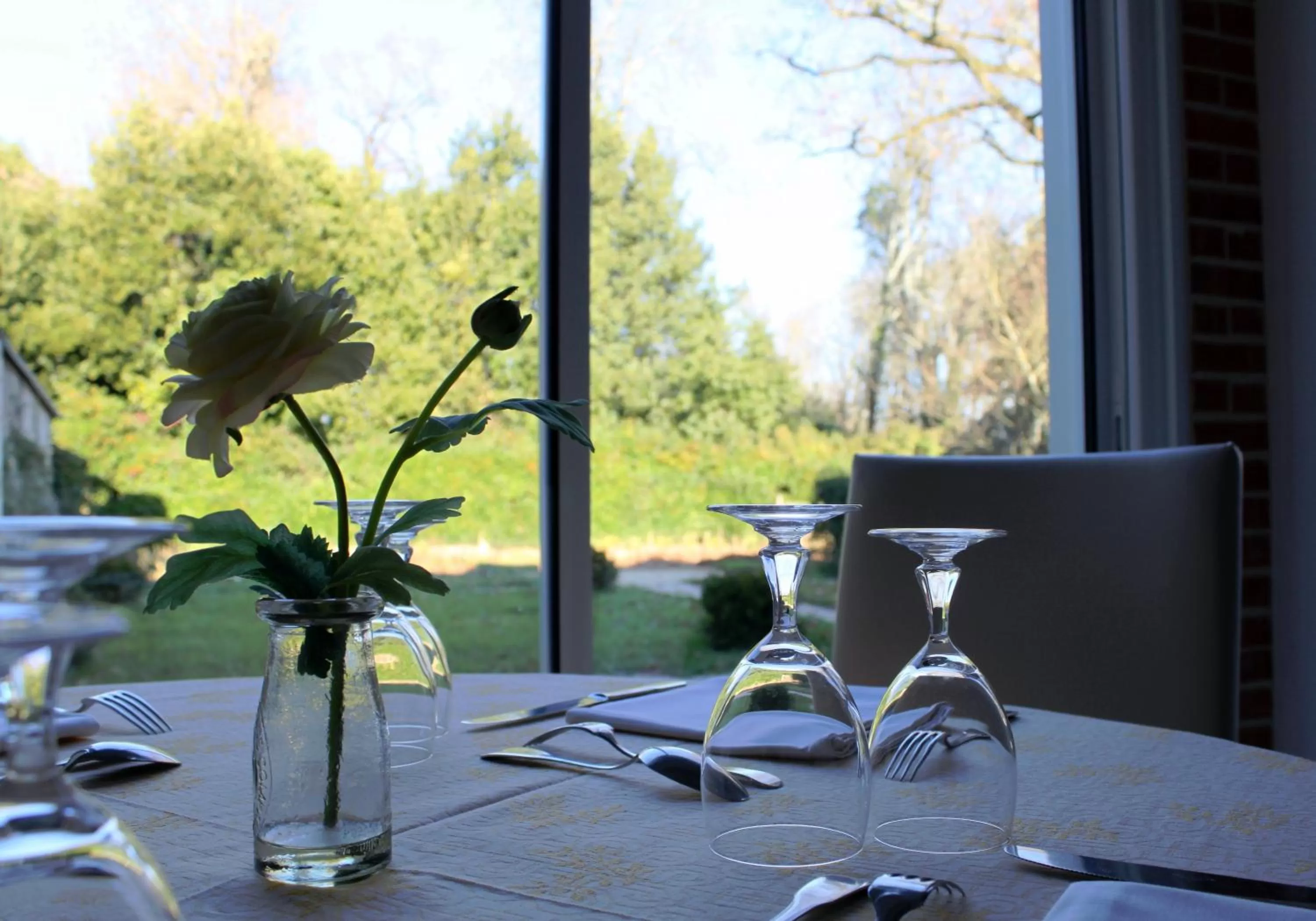 Garden in Clos de la Court d'Aron