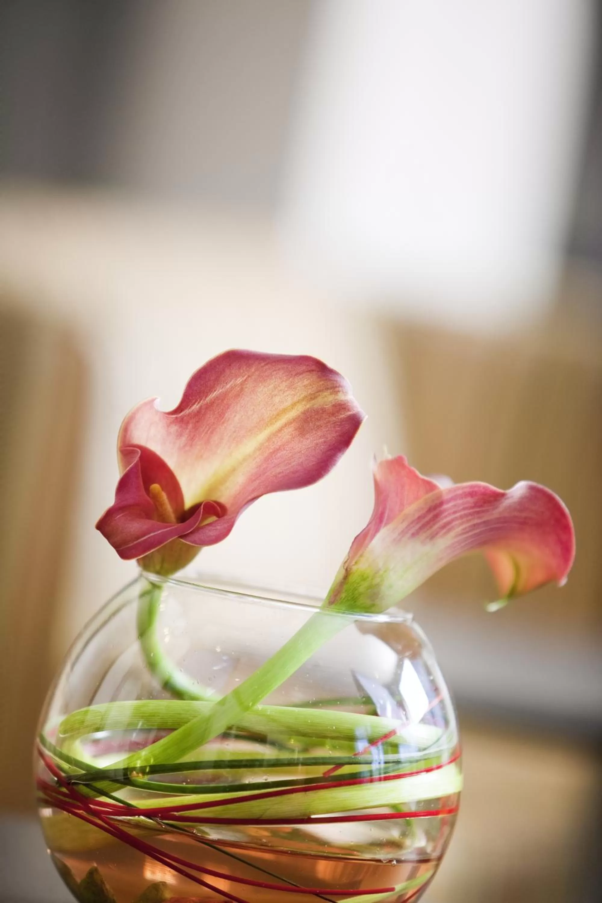 Other in Grand Hotel des Brotteaux Lyon Ctre - Handwritten Collection