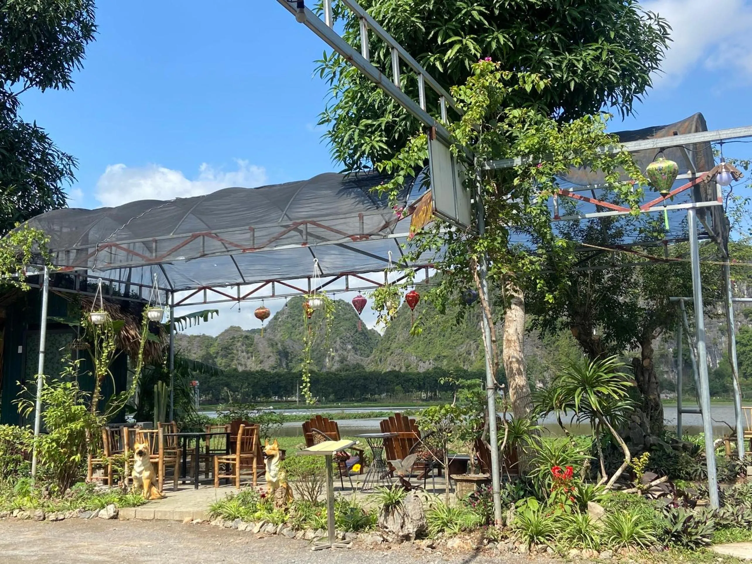 Tam Coc Mountain View Homestay