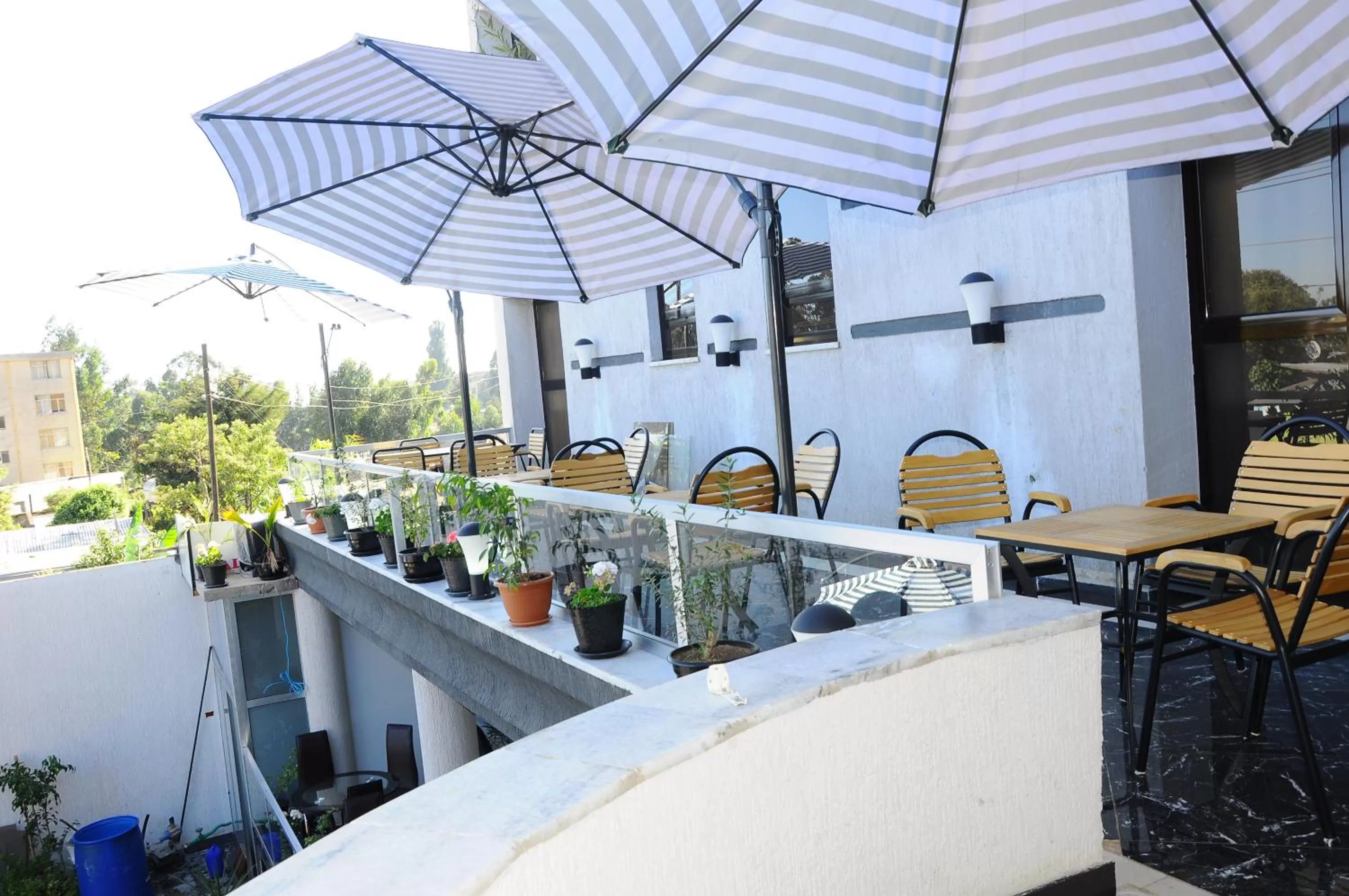 Balcony/Terrace in North Addis Hotel