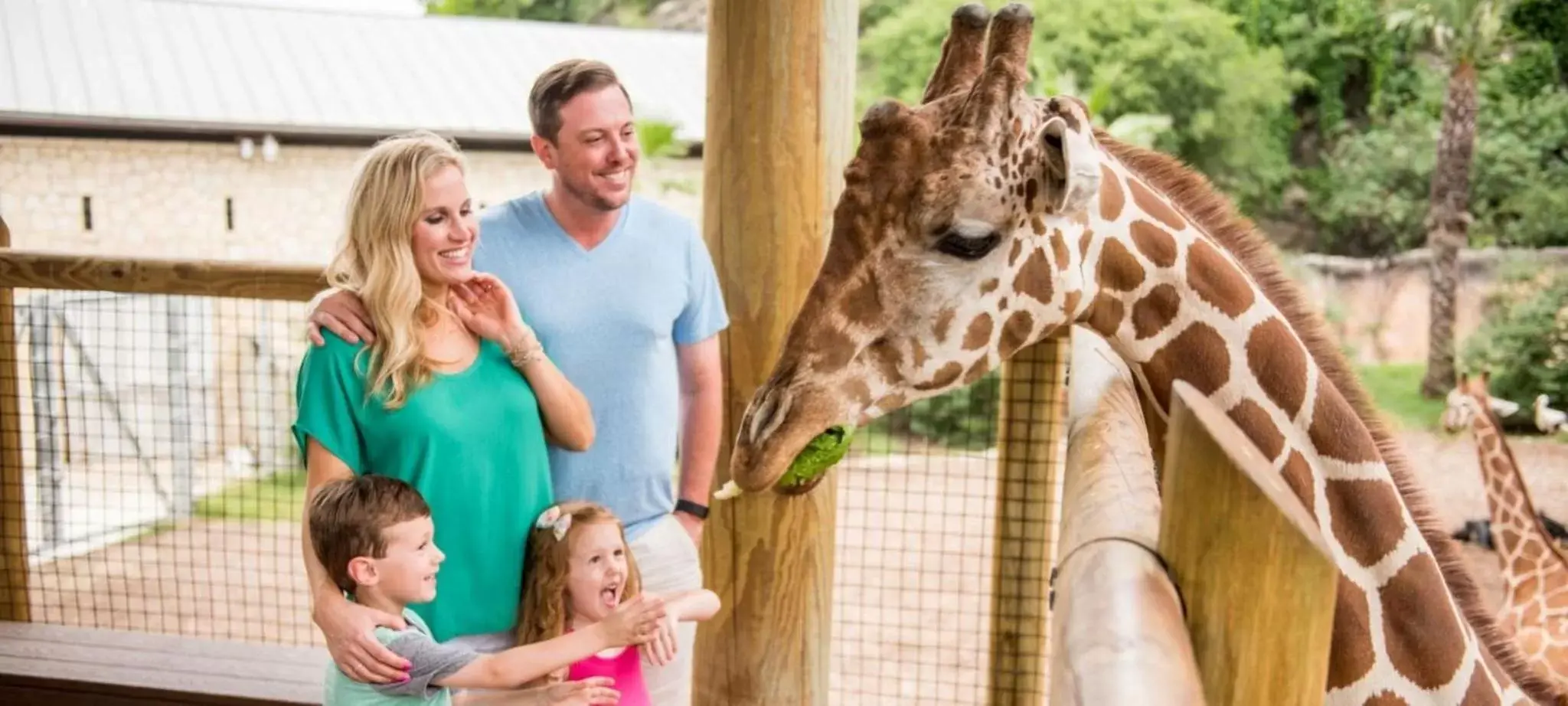 Nearby landmark, Family in Holiday Inn Express - San Antonio Airport, an IHG Hotel