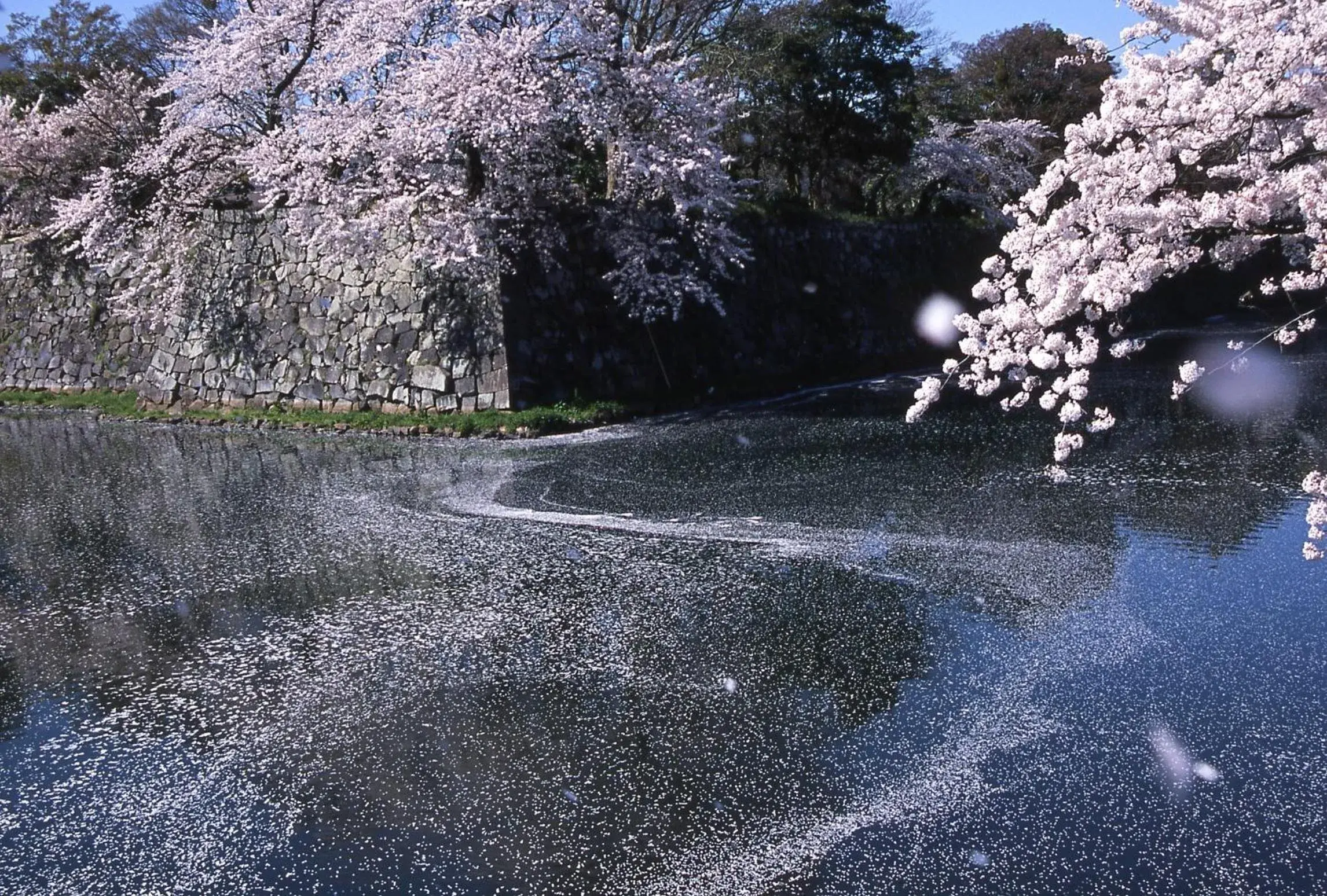 Nearby landmark in Apa Hotel Hikone Minami