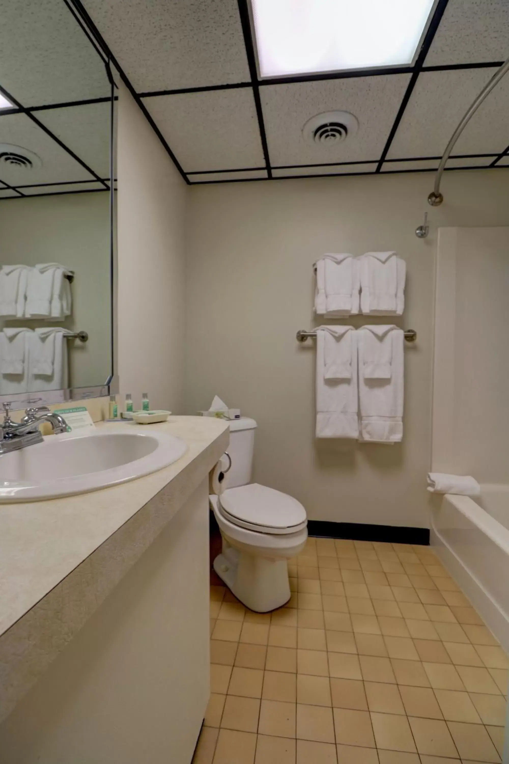 Bathroom in Fireside Inn & Suites Gilford