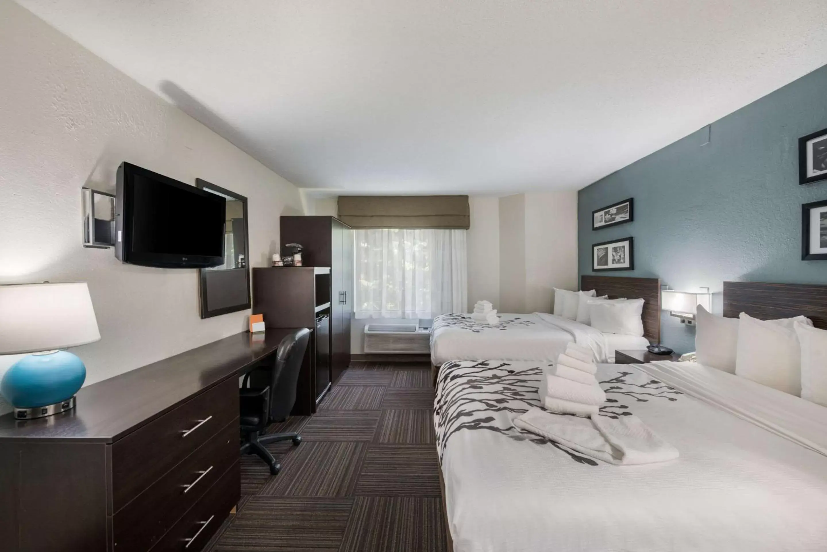 Bedroom in Sleep Inn & Suites Chesapeake - Portsmouth
