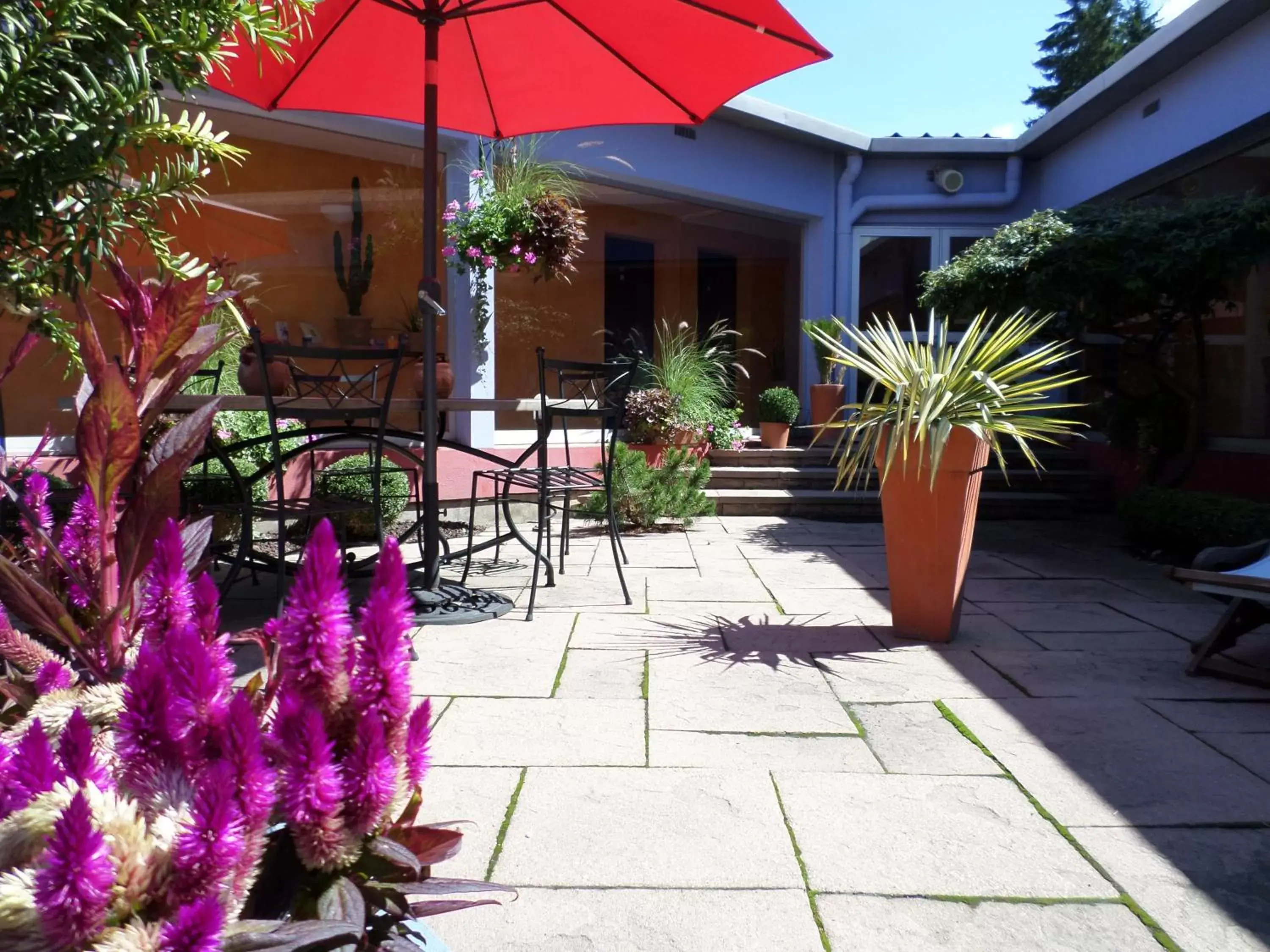 Garden in Logis Hôtel Atrium Epinal