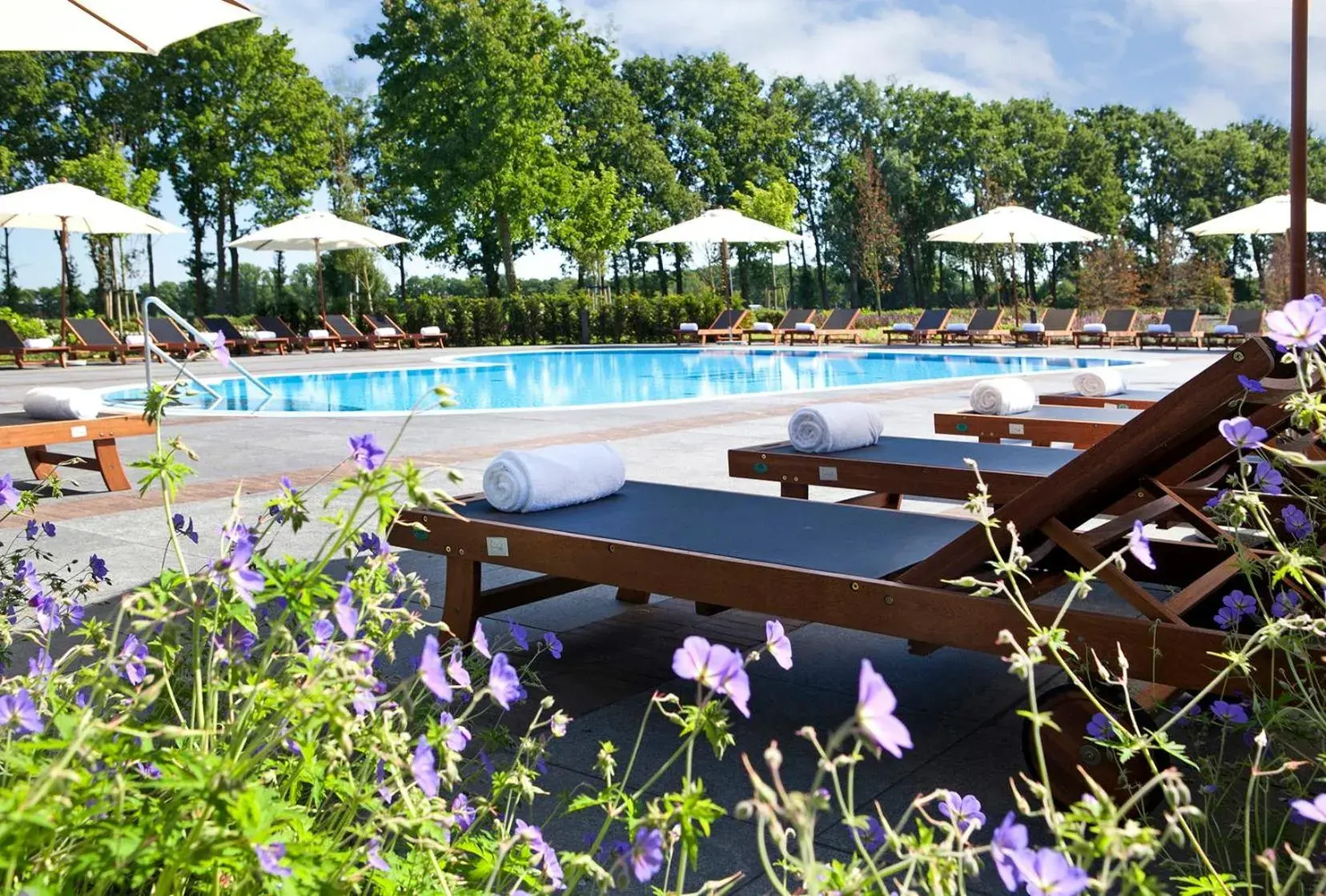 Pool view, Swimming Pool in Parkhotel De Wiemsel