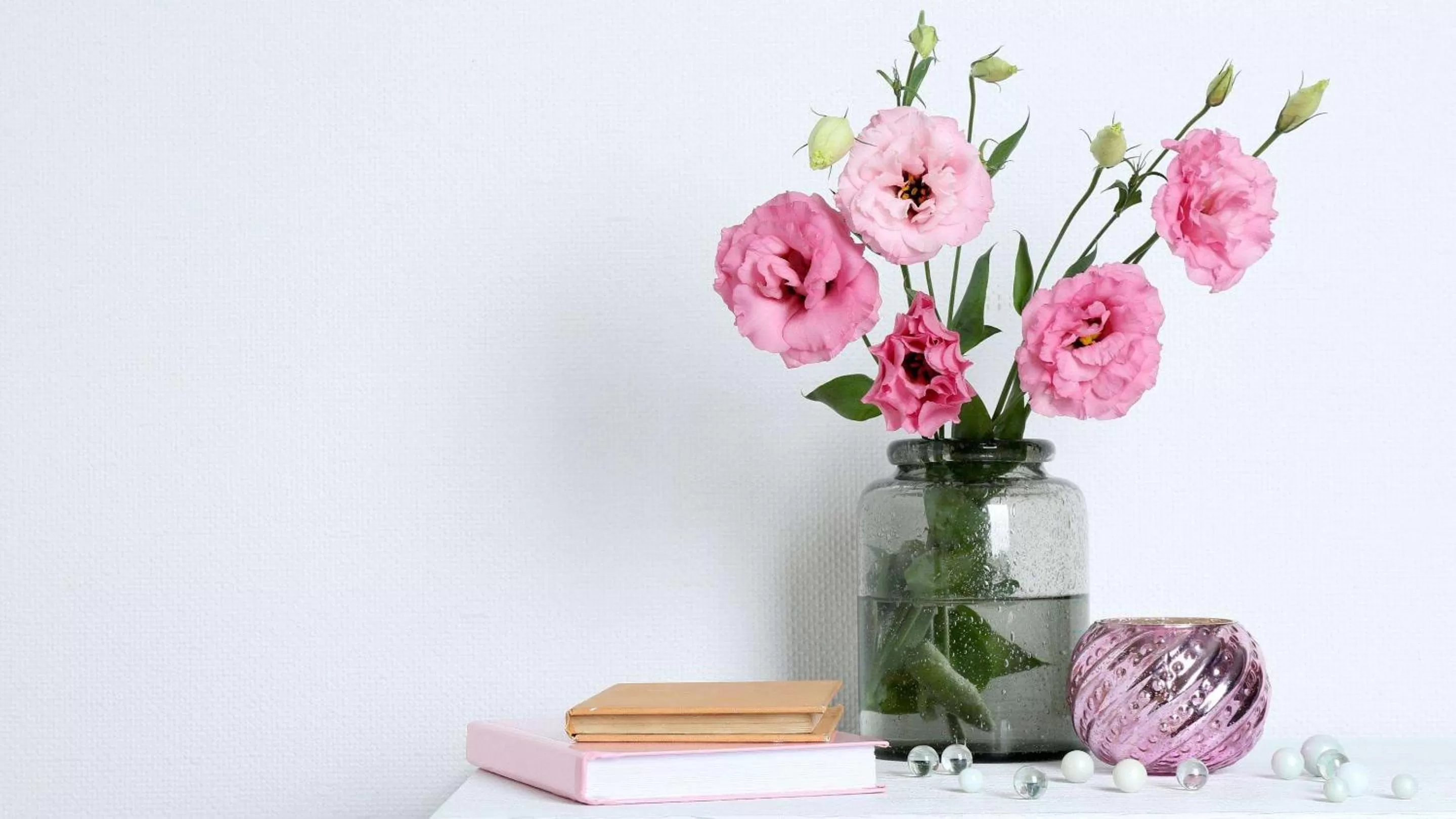 Lobby or reception in Sun Plaza Motel