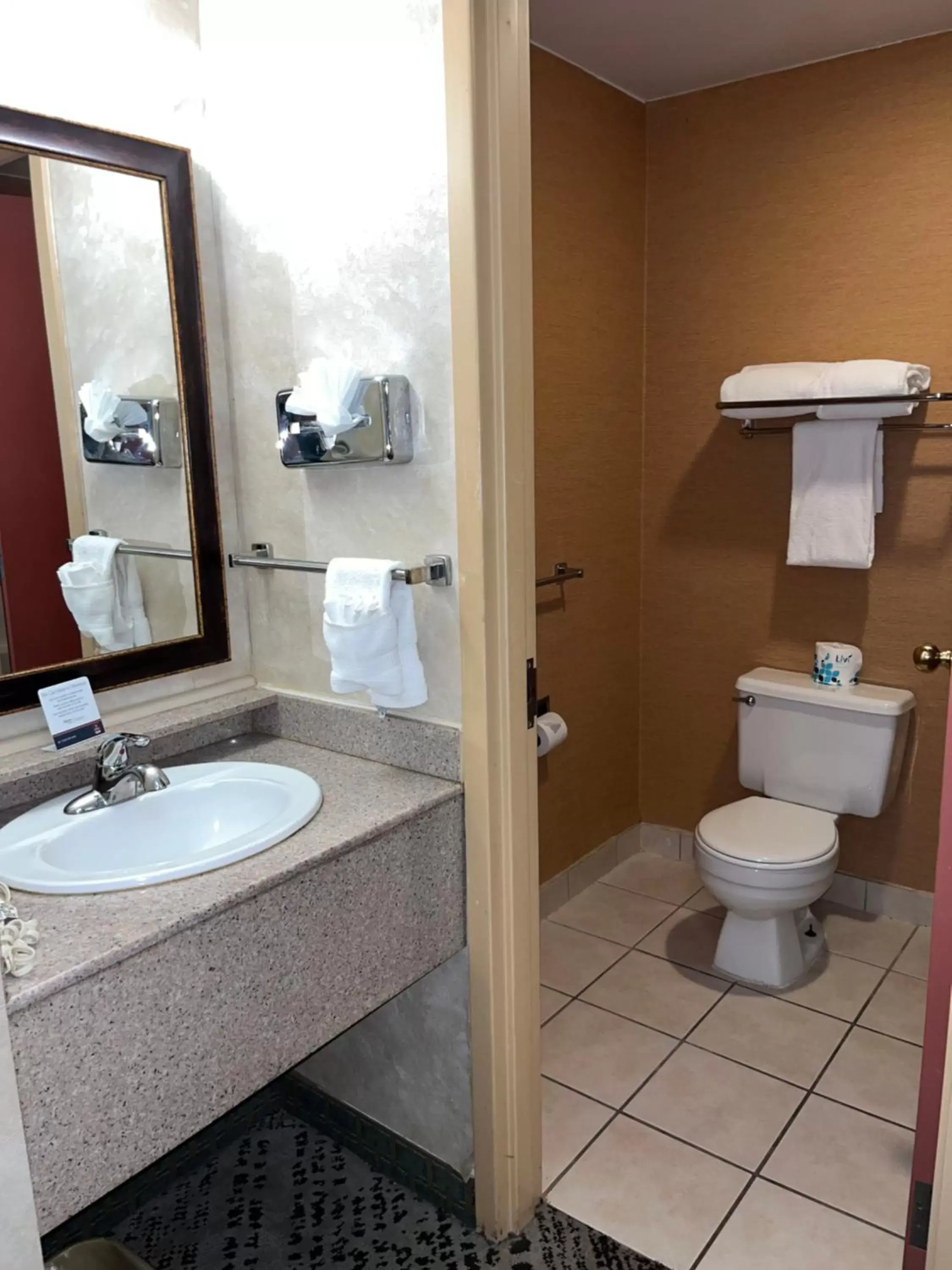 Bathroom in Quality Inn and Conference Center Greeley Downtown