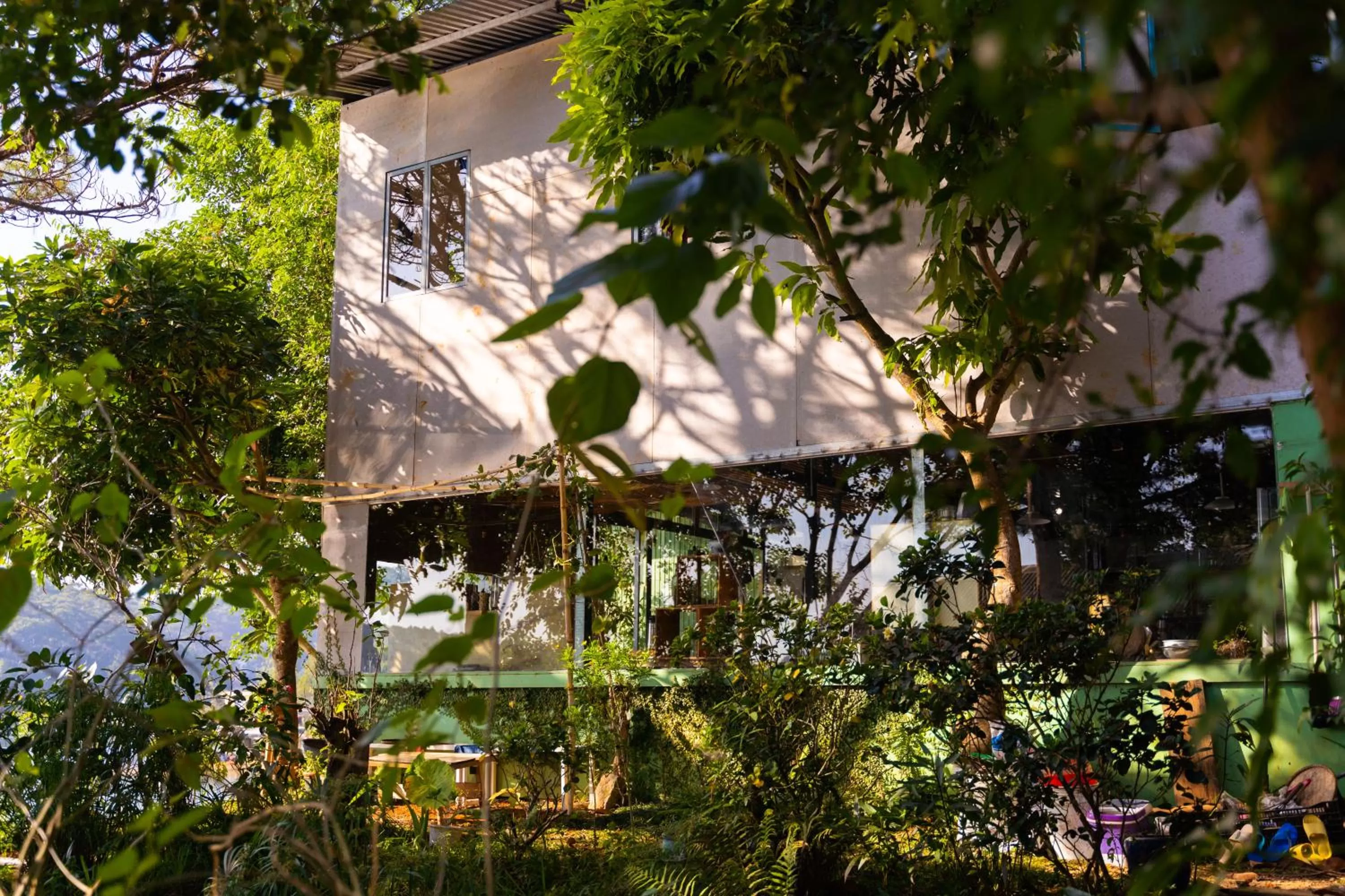 Property building in The Lake House Dalat