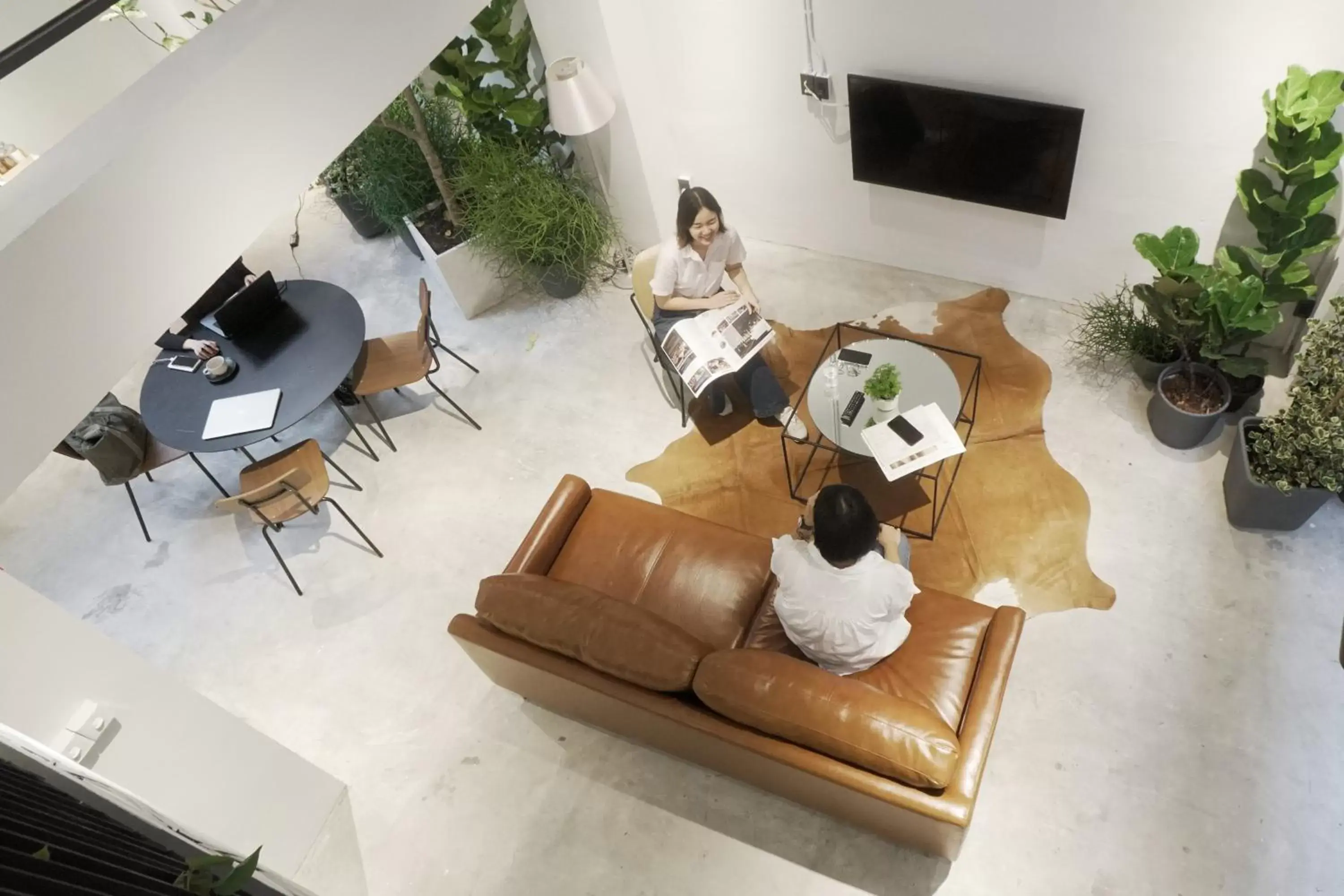 Chocolate box mint Chocolate box mint