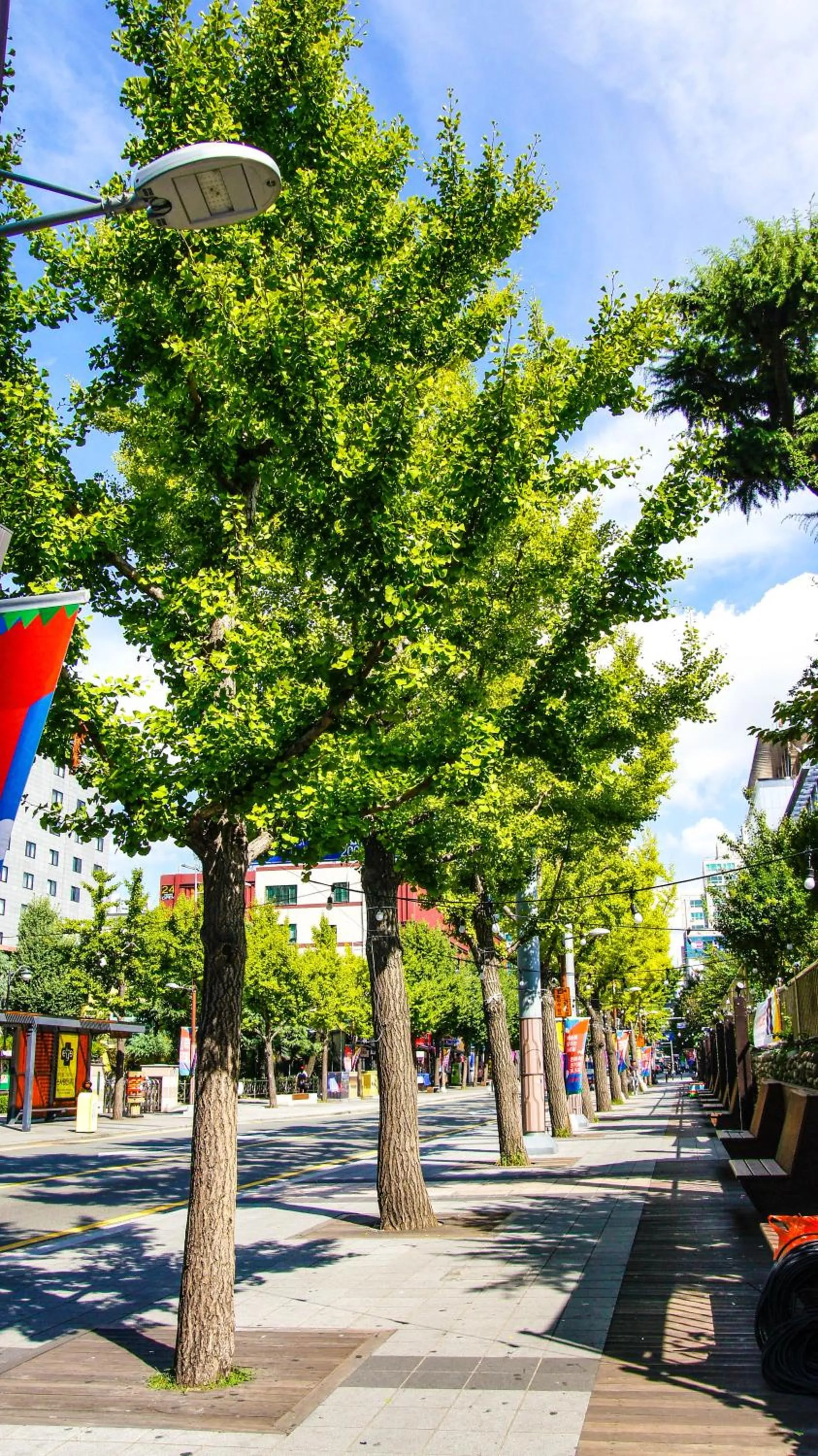 Activities in Angel Hotel