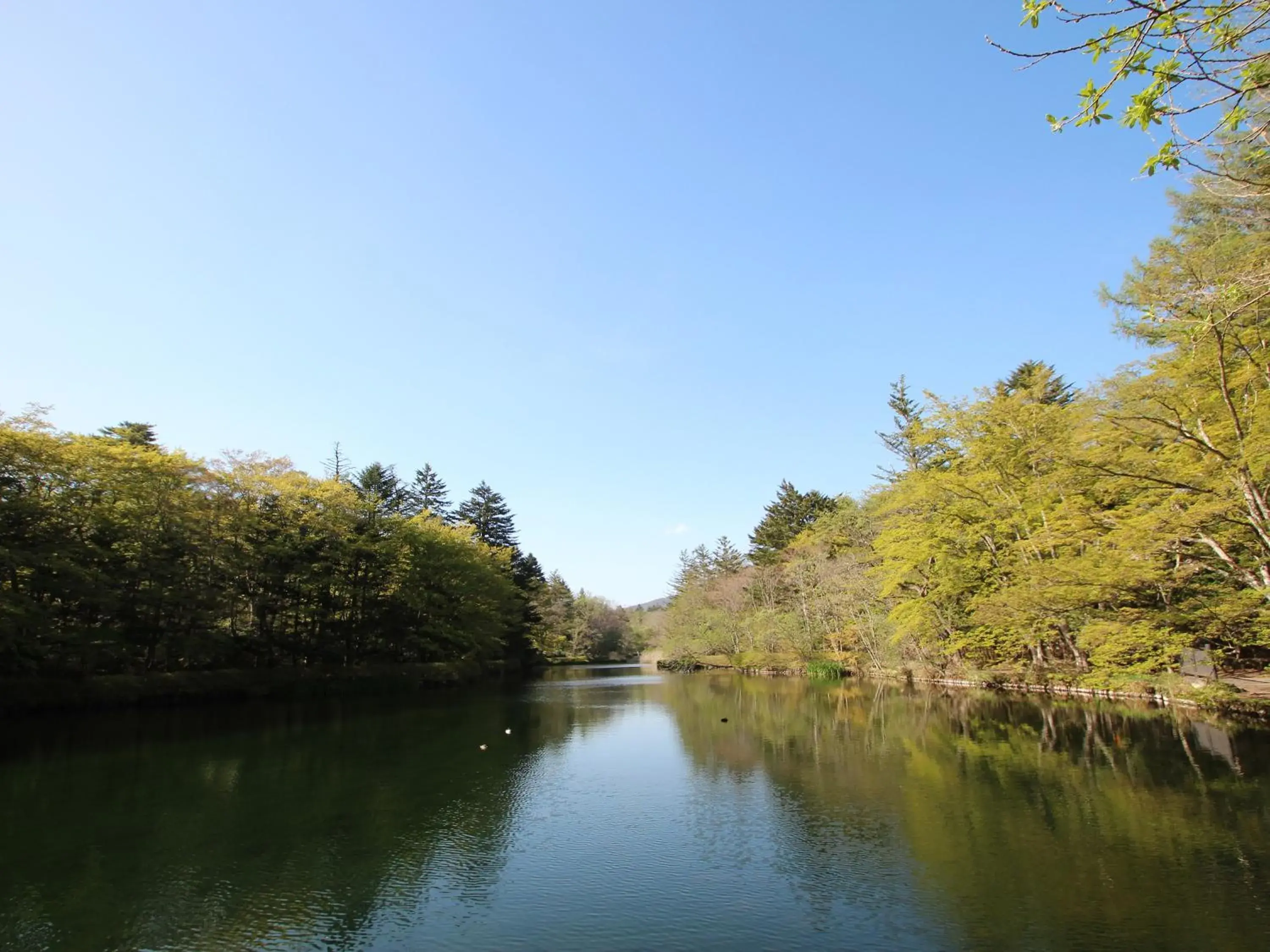 Off site, Lake View in APA Hotel Karuizawa Ekimae Karuizawaso