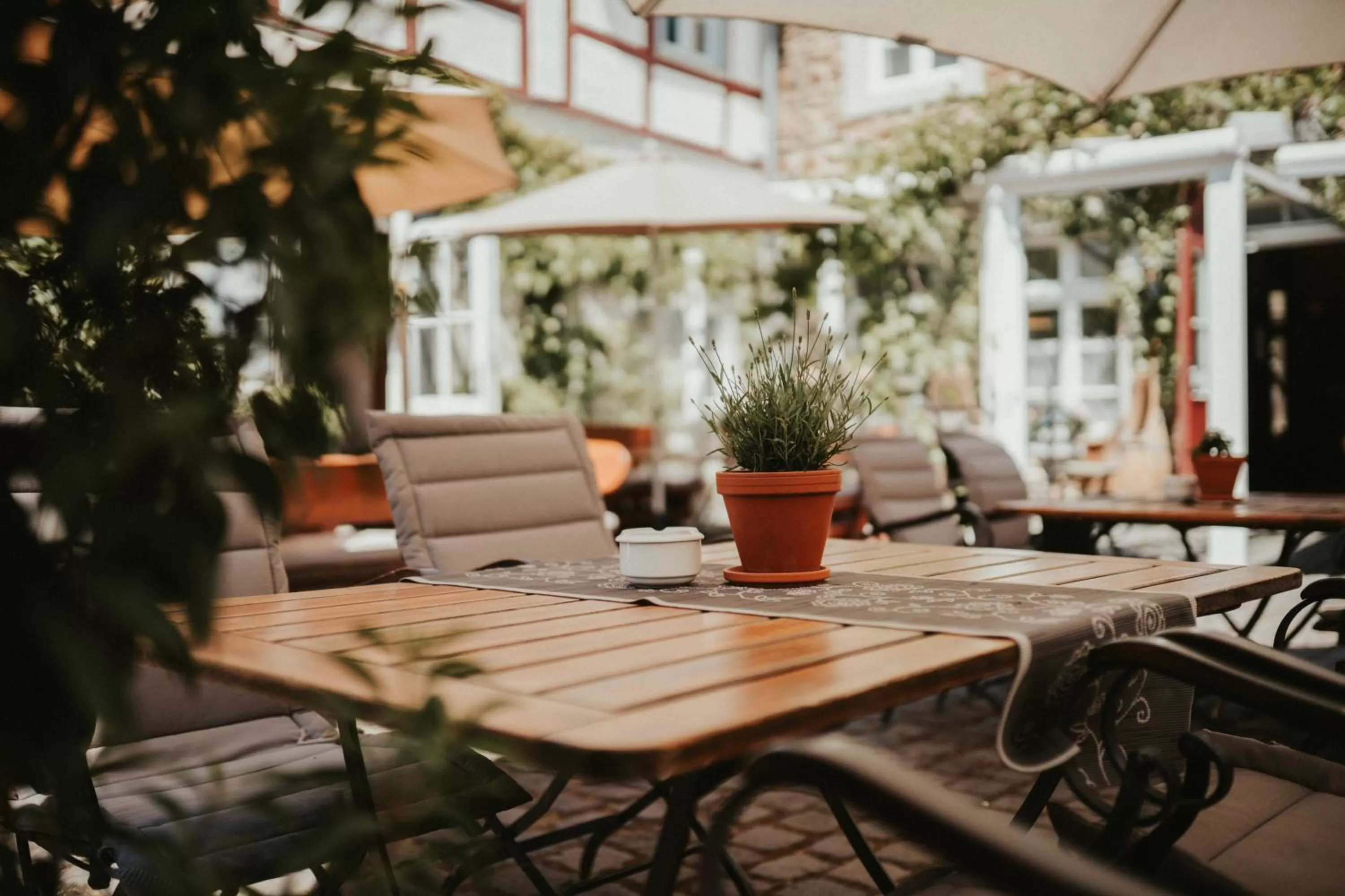 Patio in Hotel Rodderhof