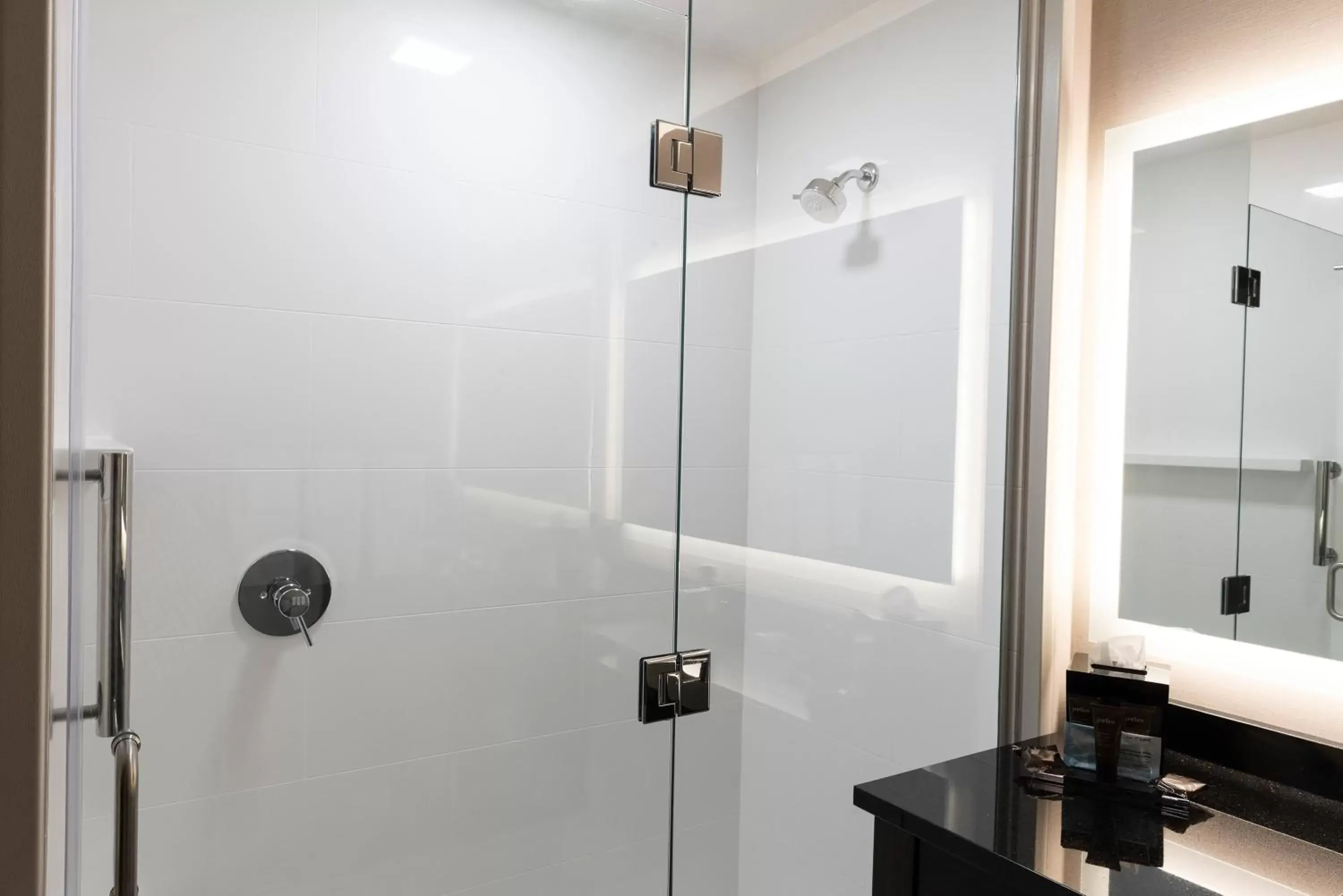 Shower, Bathroom in Wingate by Wyndham Angola