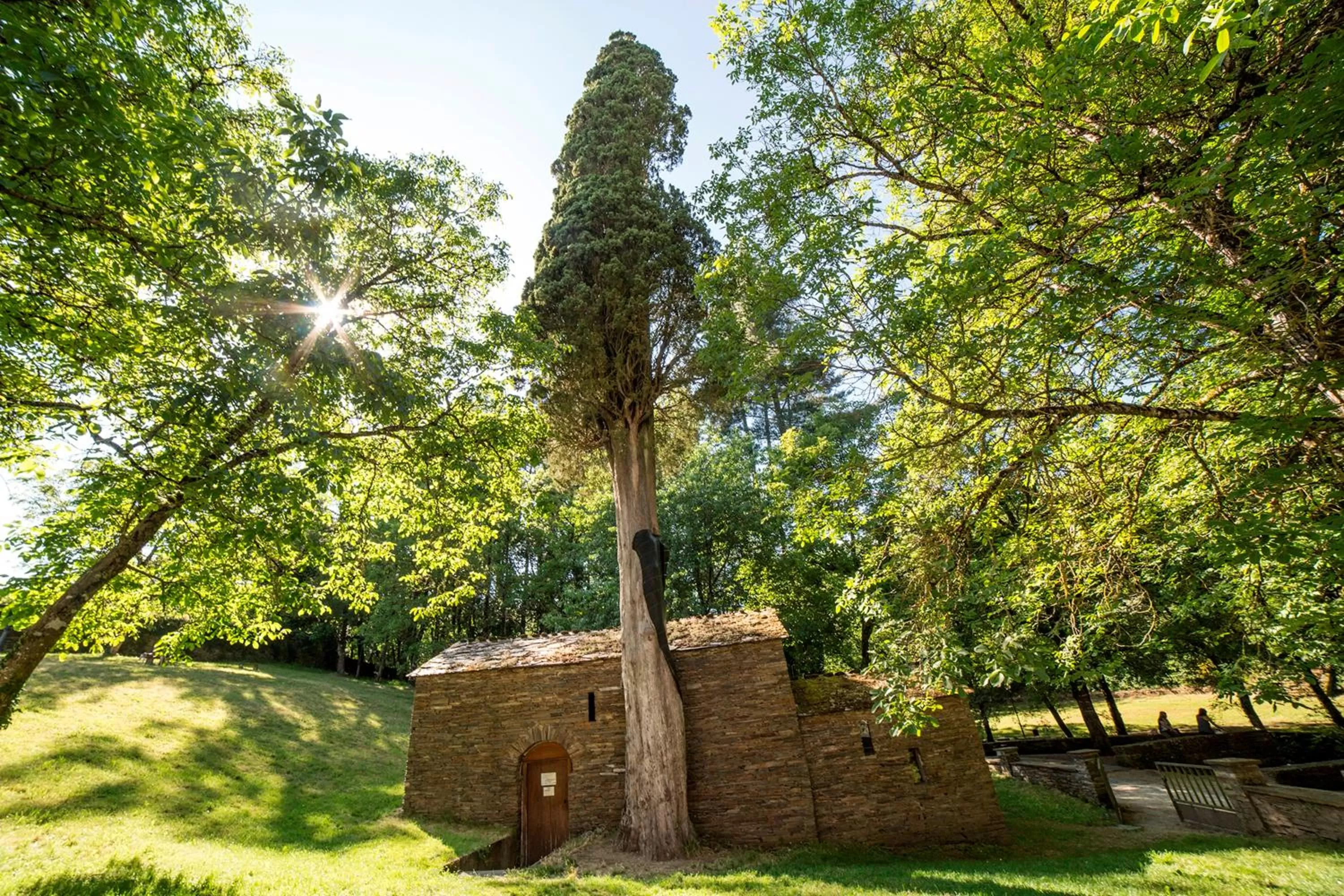 Nearby landmark, Garden in Hotel Casa de Díaz