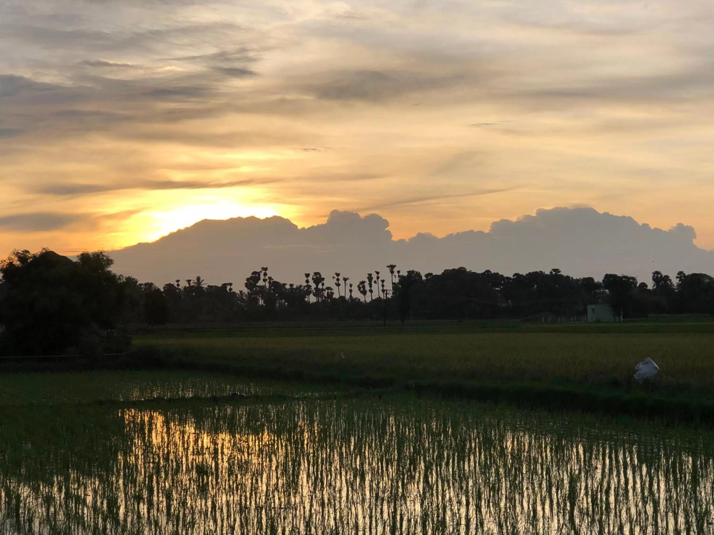 Neighbourhood in Marutham Village Resort